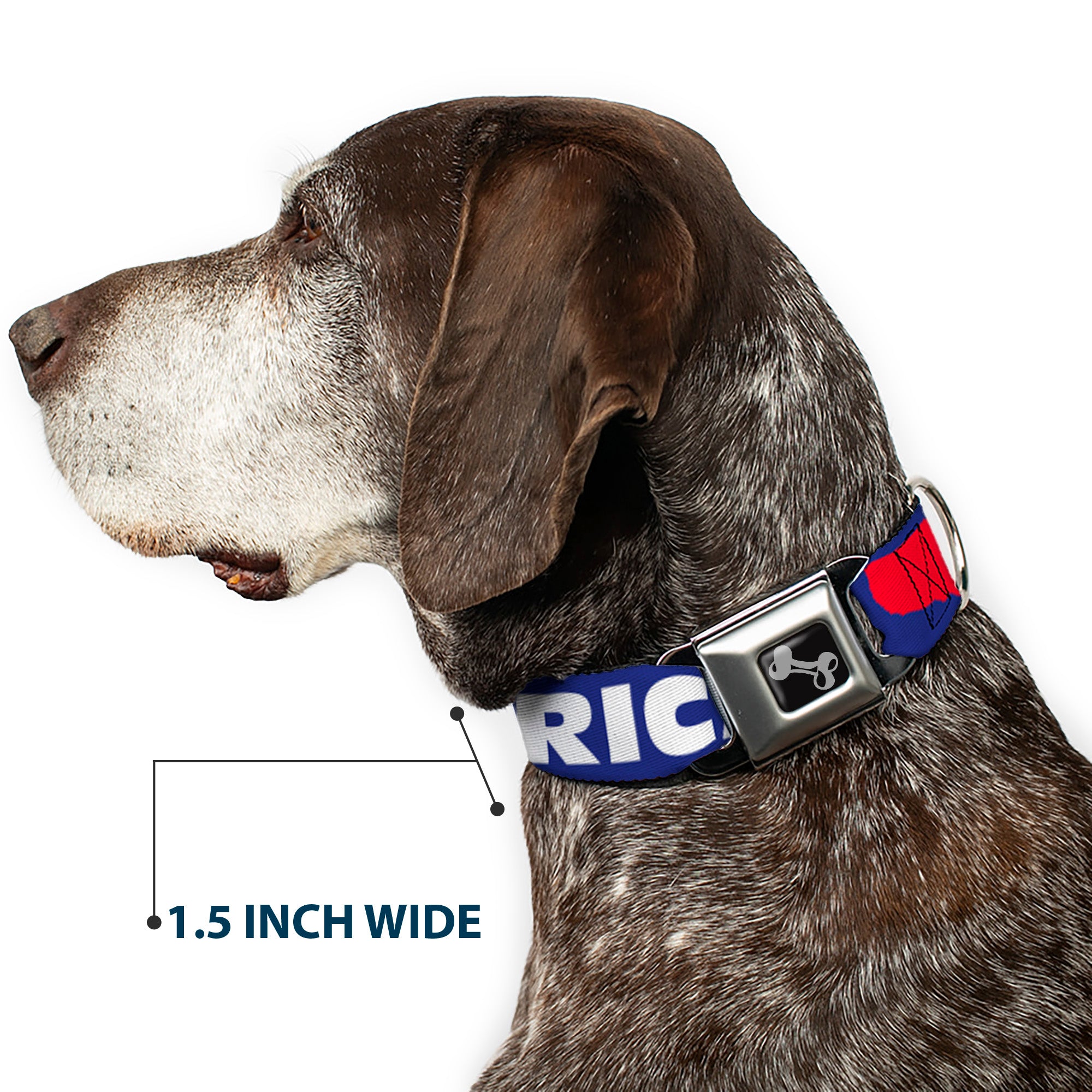 Dog Bone Seatbelt Buckle Collar - 'MERICA/USA Silhouette Blue/White/Red Seatbelt Buckle Collars Buckle-Down