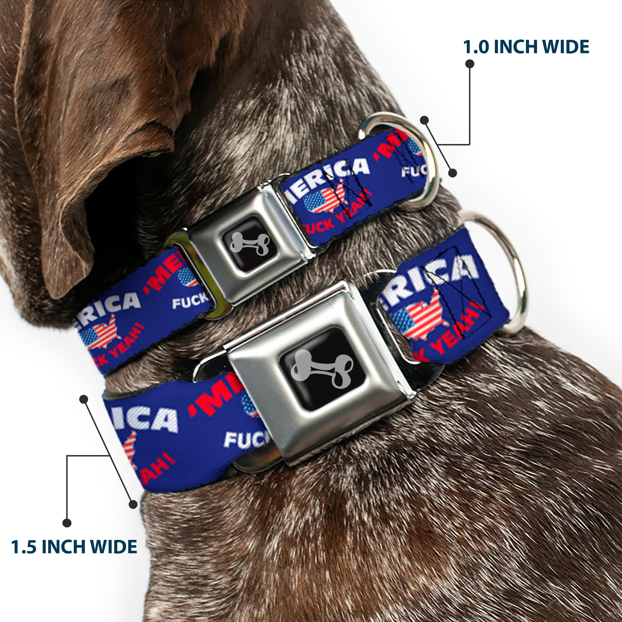 Dog Bone Seatbelt Buckle Collar - 'MERICA FUCK YEAH!/USA Silhouette Blue/White/Red/US Flag Seatbelt Buckle Collars Buckle-Down