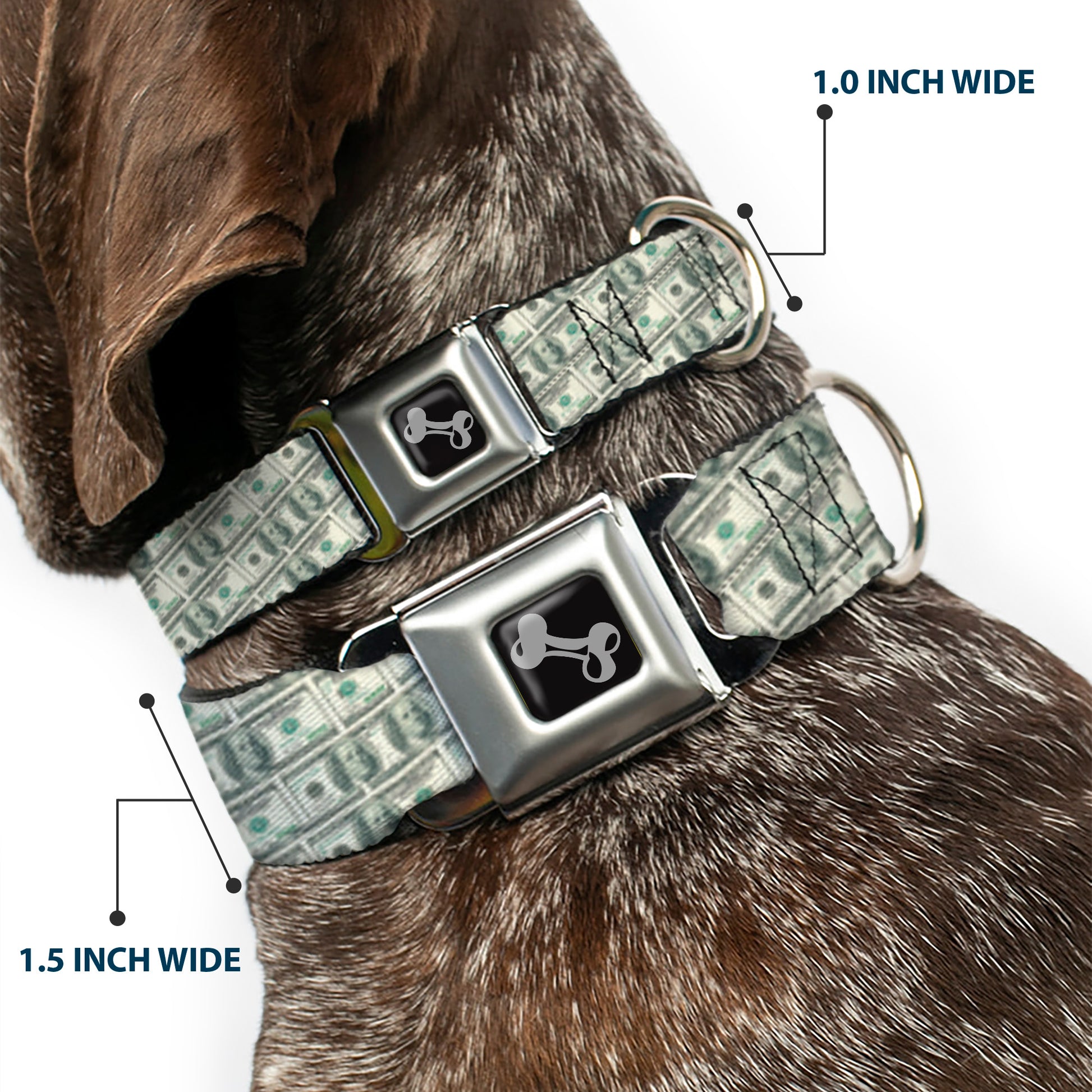 Dog Bone Seatbelt Buckle Collar - 100 Dollar Bill Old Series 2006 Repeat Seatbelt Buckle Collars Buckle-Down
