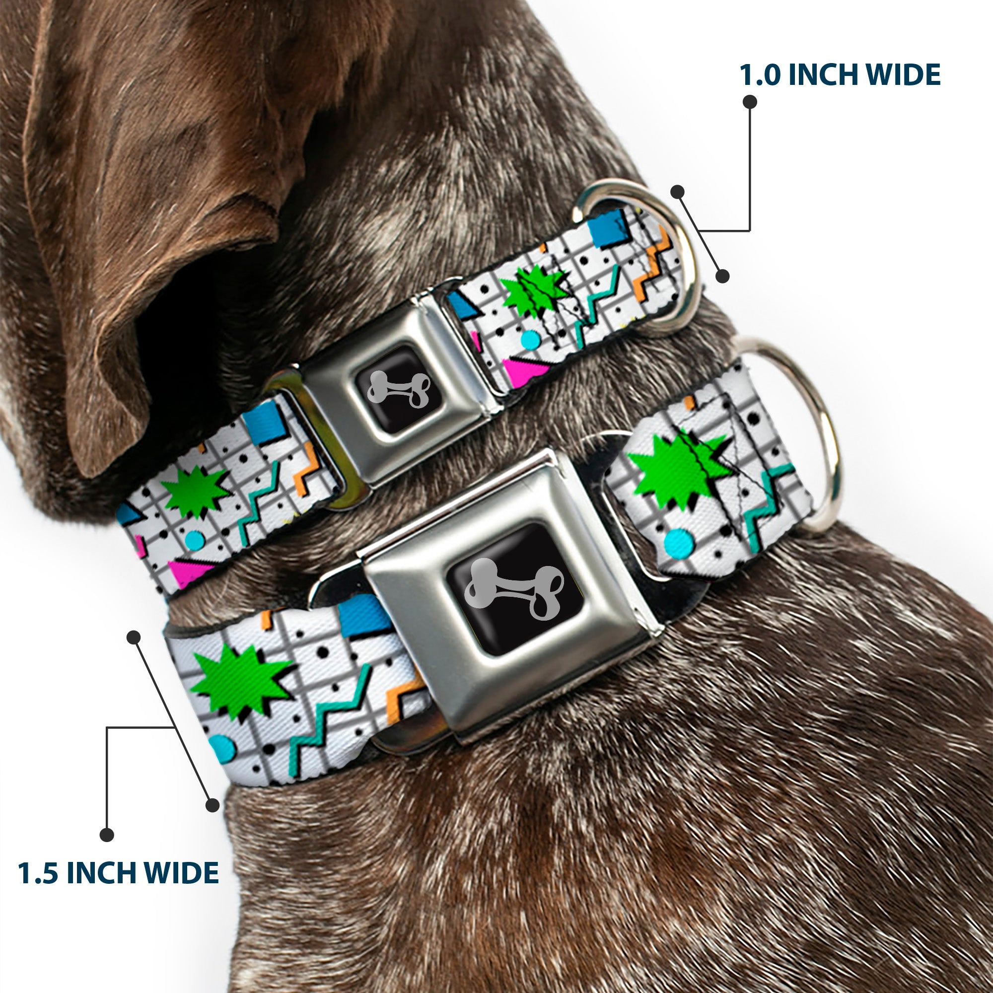 Dog Bone Black/Silver Seatbelt Buckle Collar - 90s Nineties Grid Pattern Vibrant Gray/Multi Color Seatbelt Buckle Collars Buckle-Down