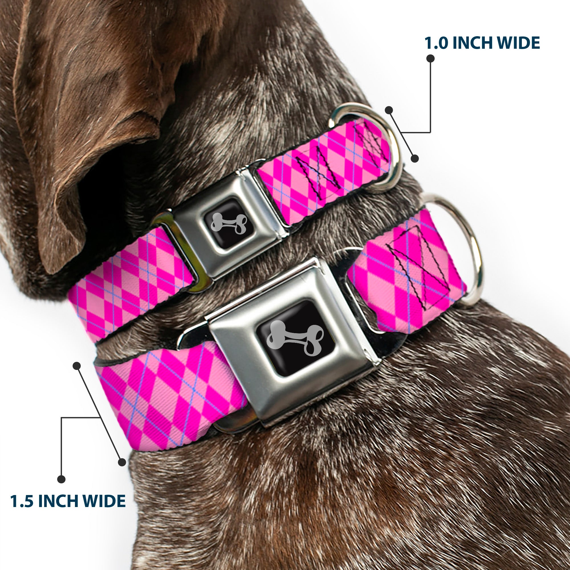 Dog Bone Seatbelt Buckle Collar - Argyle Pink/Fuchsia/Blue Seatbelt Buckle Collars Buckle-Down