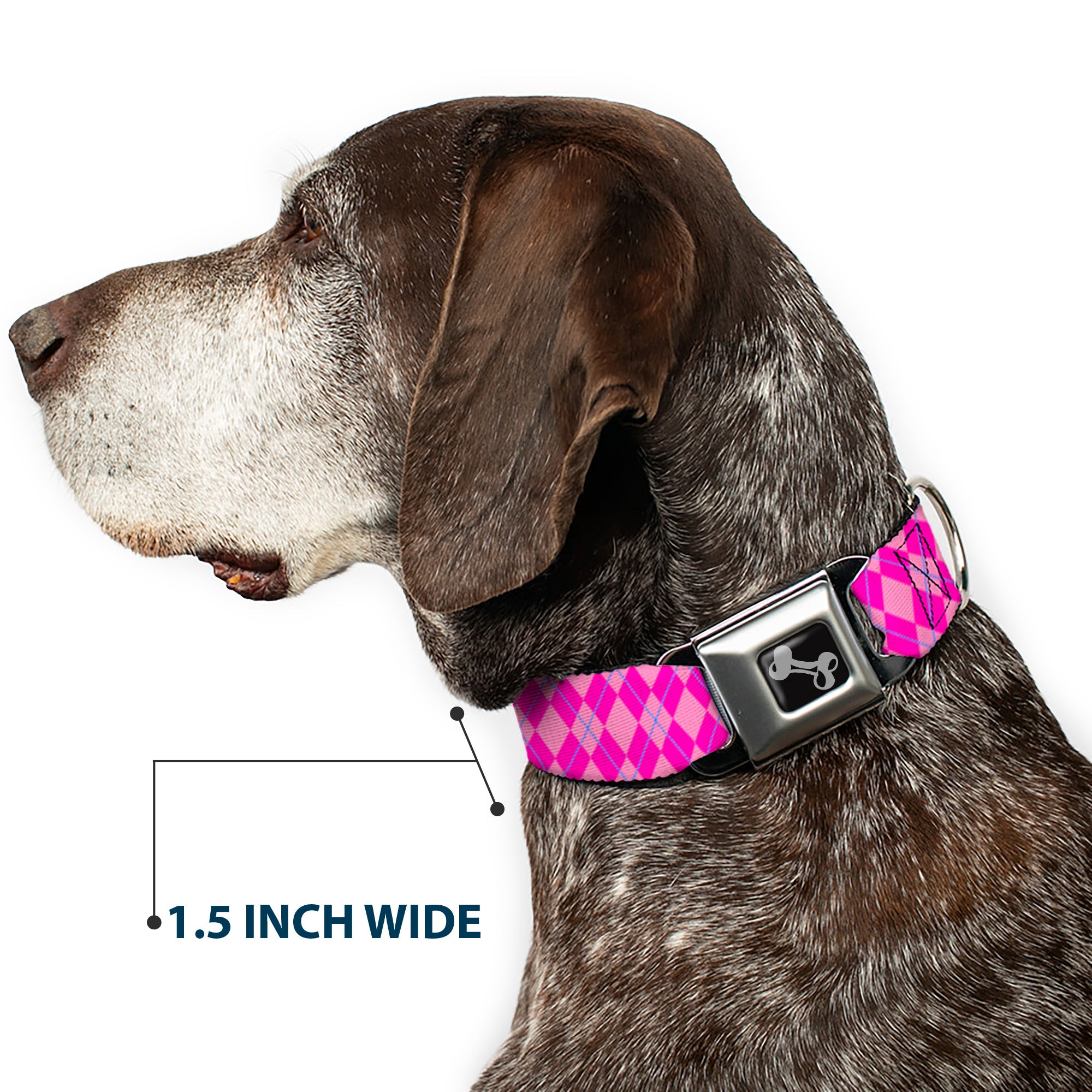 Dog Bone Seatbelt Buckle Collar - Argyle Pink/Fuchsia/Blue Seatbelt Buckle Collars Buckle-Down