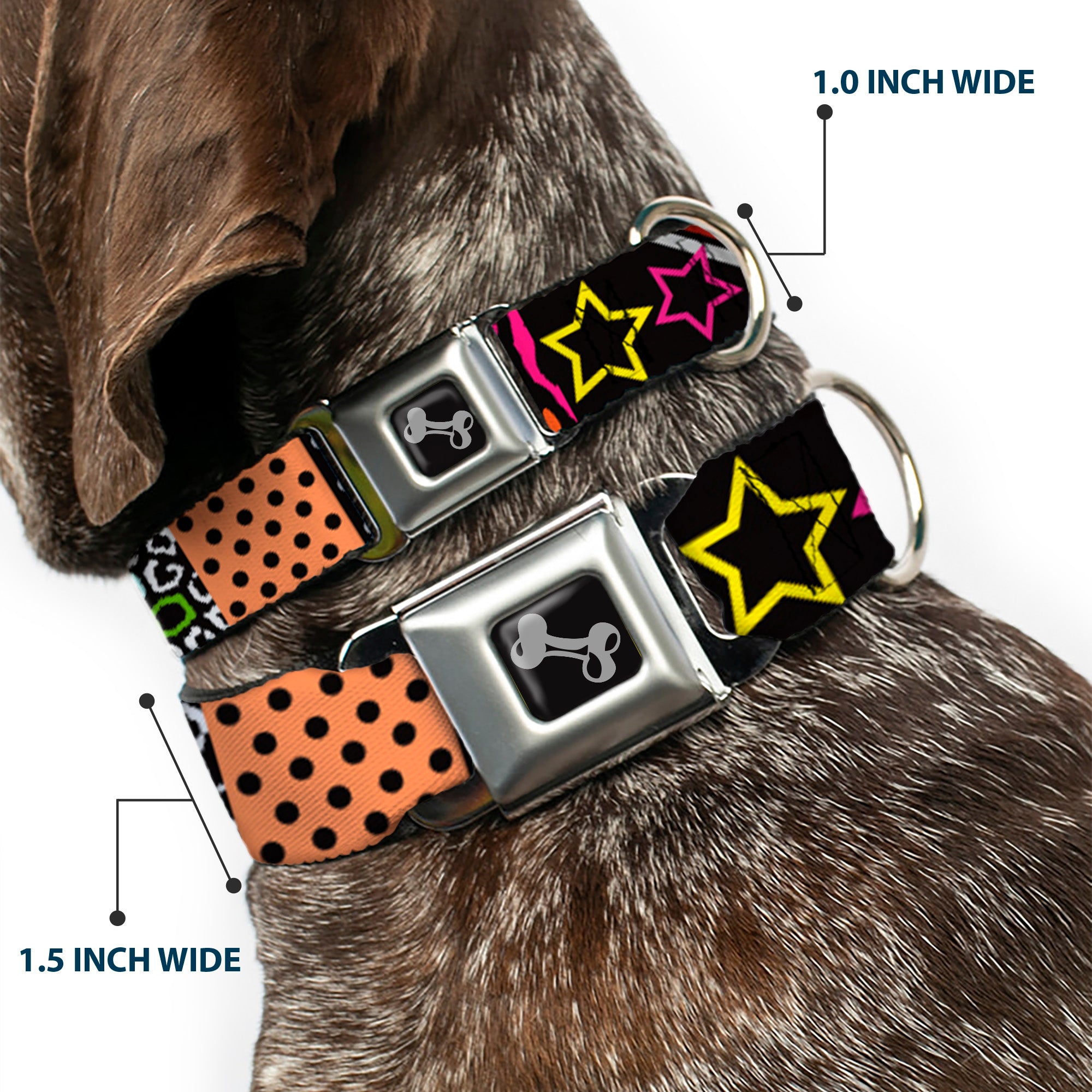 Dog Bone Seatbelt Buckle Collar - Animal Skins & Stripes 1 Seatbelt Buckle Collars Buckle-Down