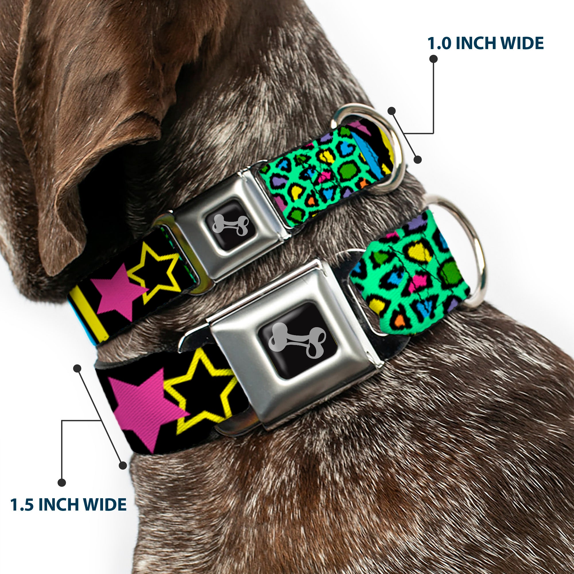 Dog Bone Seatbelt Buckle Collar - Animal Skins & Stripes 2 Seatbelt Buckle Collars Buckle-Down