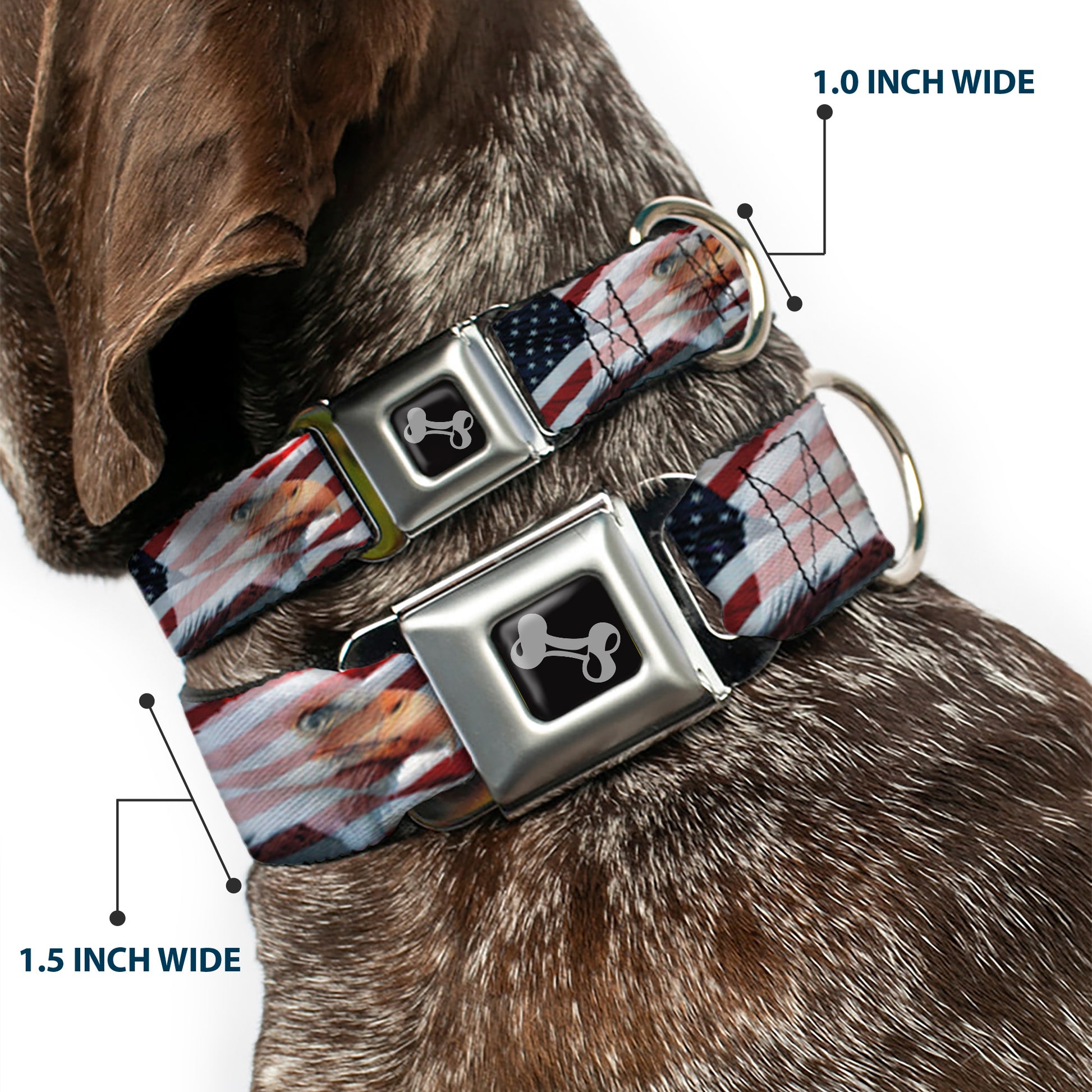 Dog Bone Seatbelt Buckle Collar - American Eagle Flags Seatbelt Buckle Collars Buckle-Down