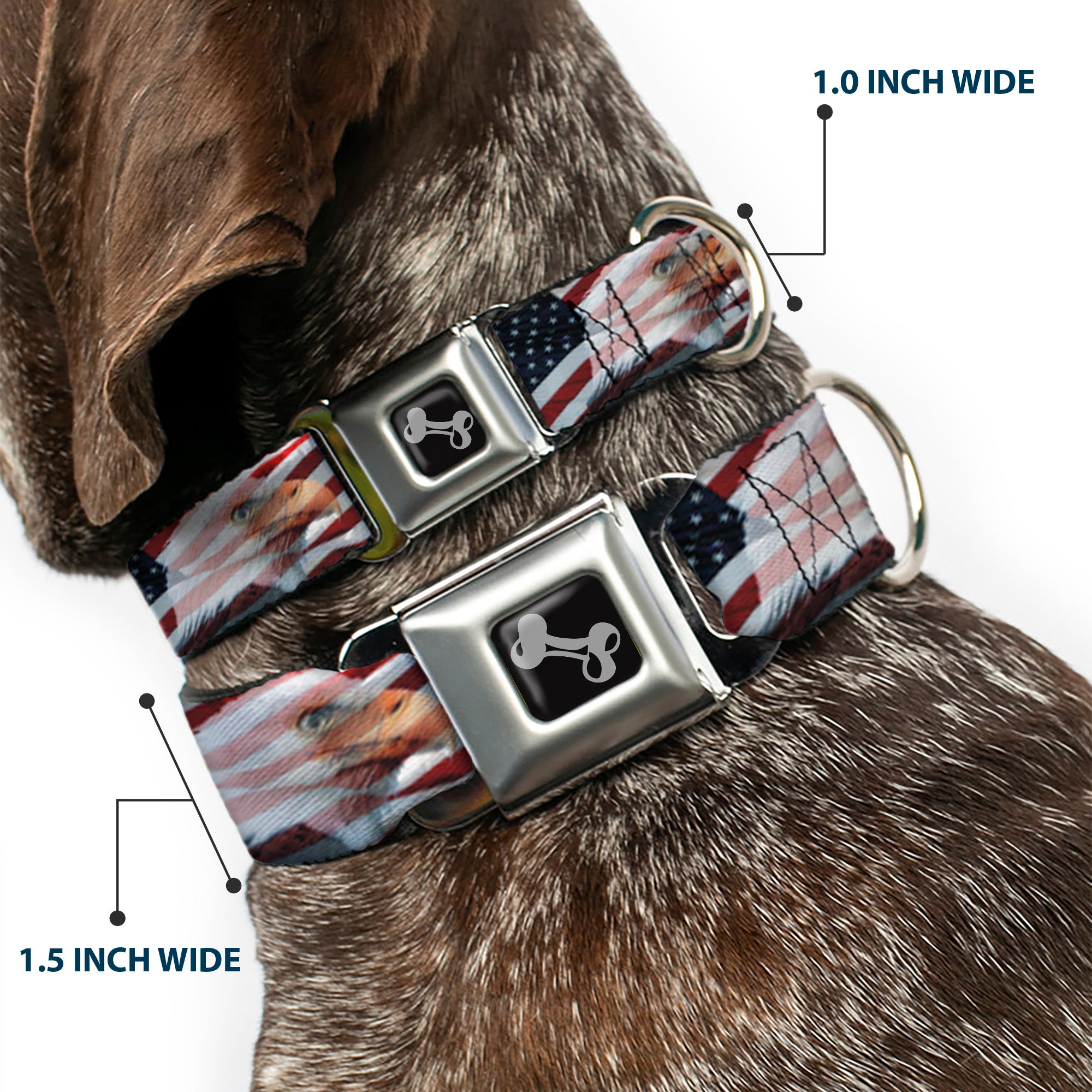 Dog Bone Seatbelt Buckle Collar - American Eagle Flags Seatbelt Buckle Collars Buckle-Down