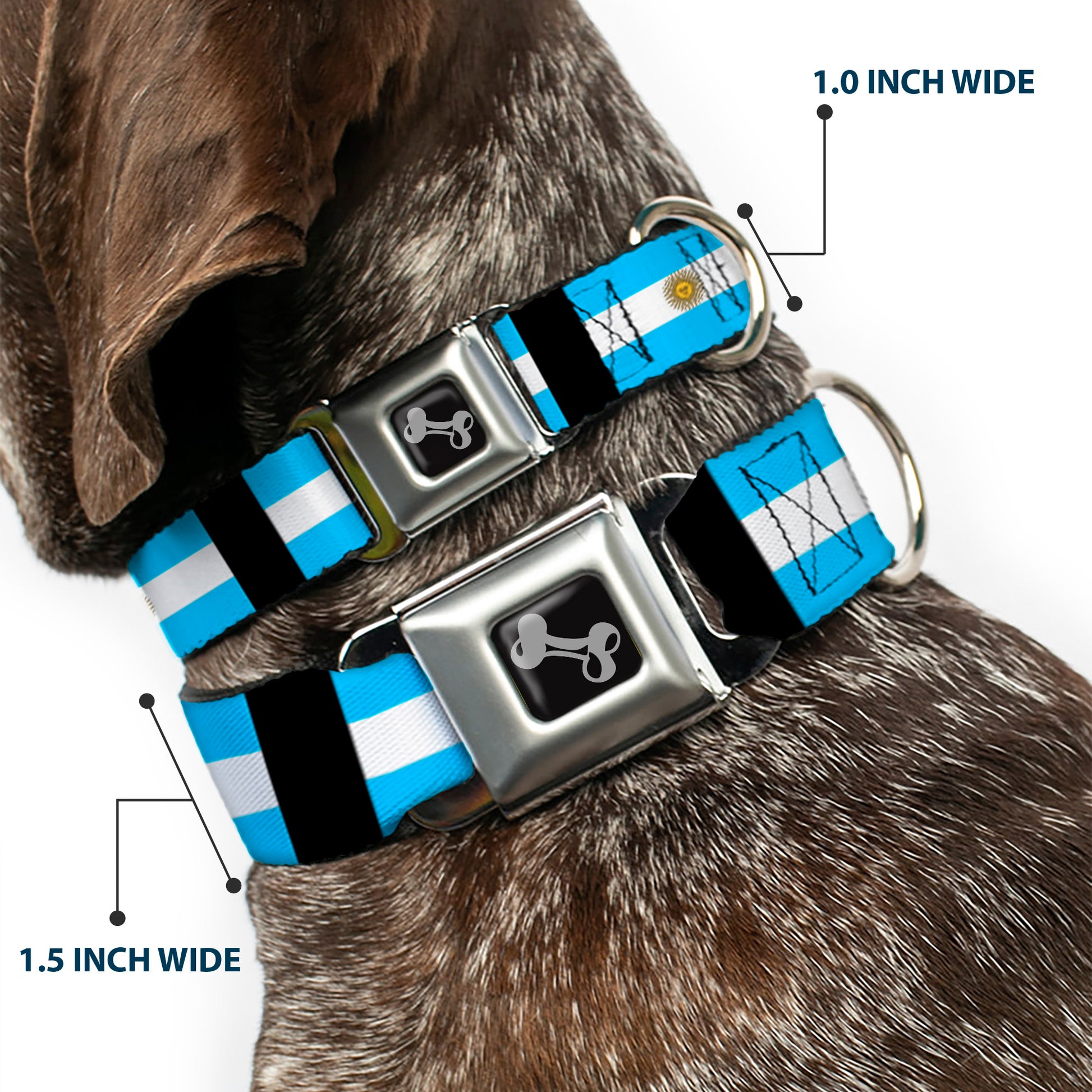 Dog Bone Seatbelt Buckle Collar - Argentina Flags Seatbelt Buckle Collars Buckle-Down