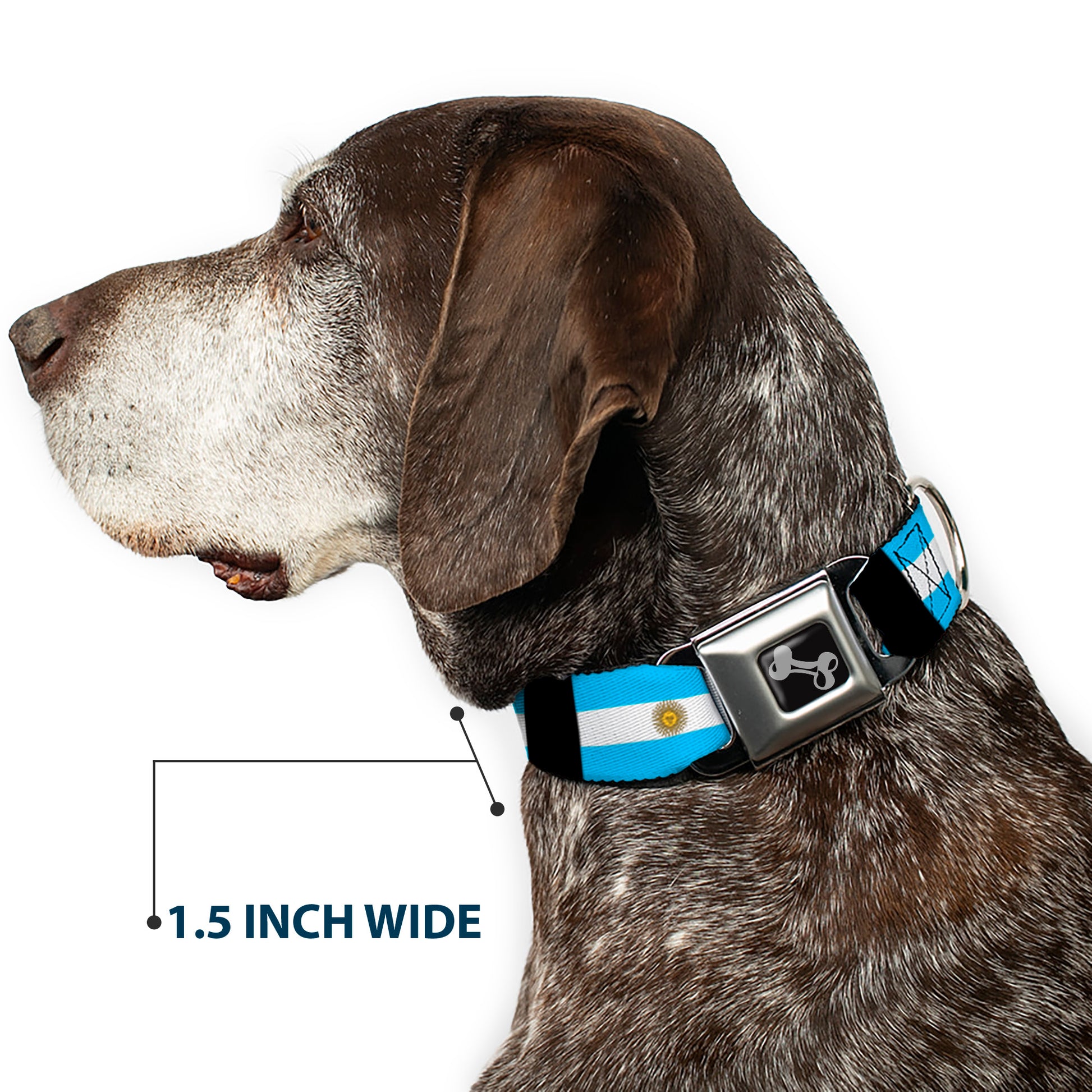 Dog Bone Seatbelt Buckle Collar - Argentina Flags Seatbelt Buckle Collars Buckle-Down