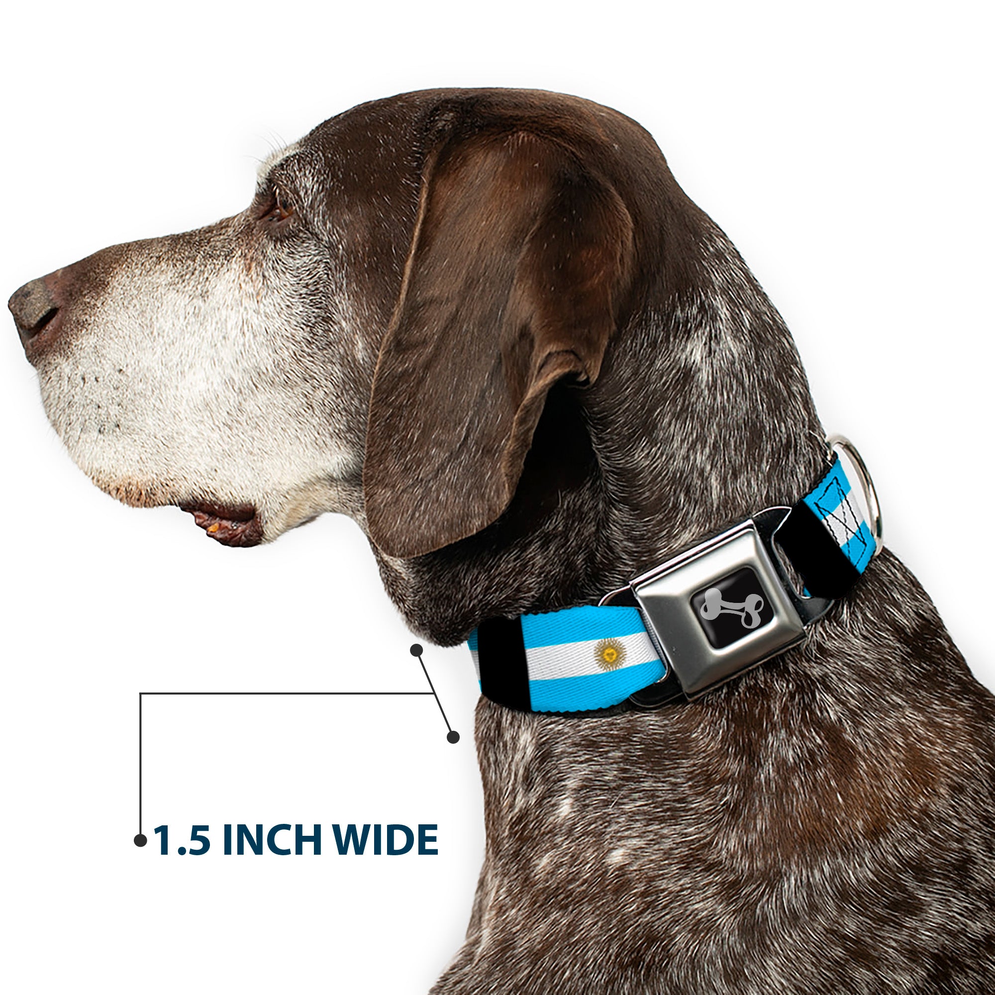 Dog Bone Seatbelt Buckle Collar - Argentina Flags Seatbelt Buckle Collars Buckle-Down