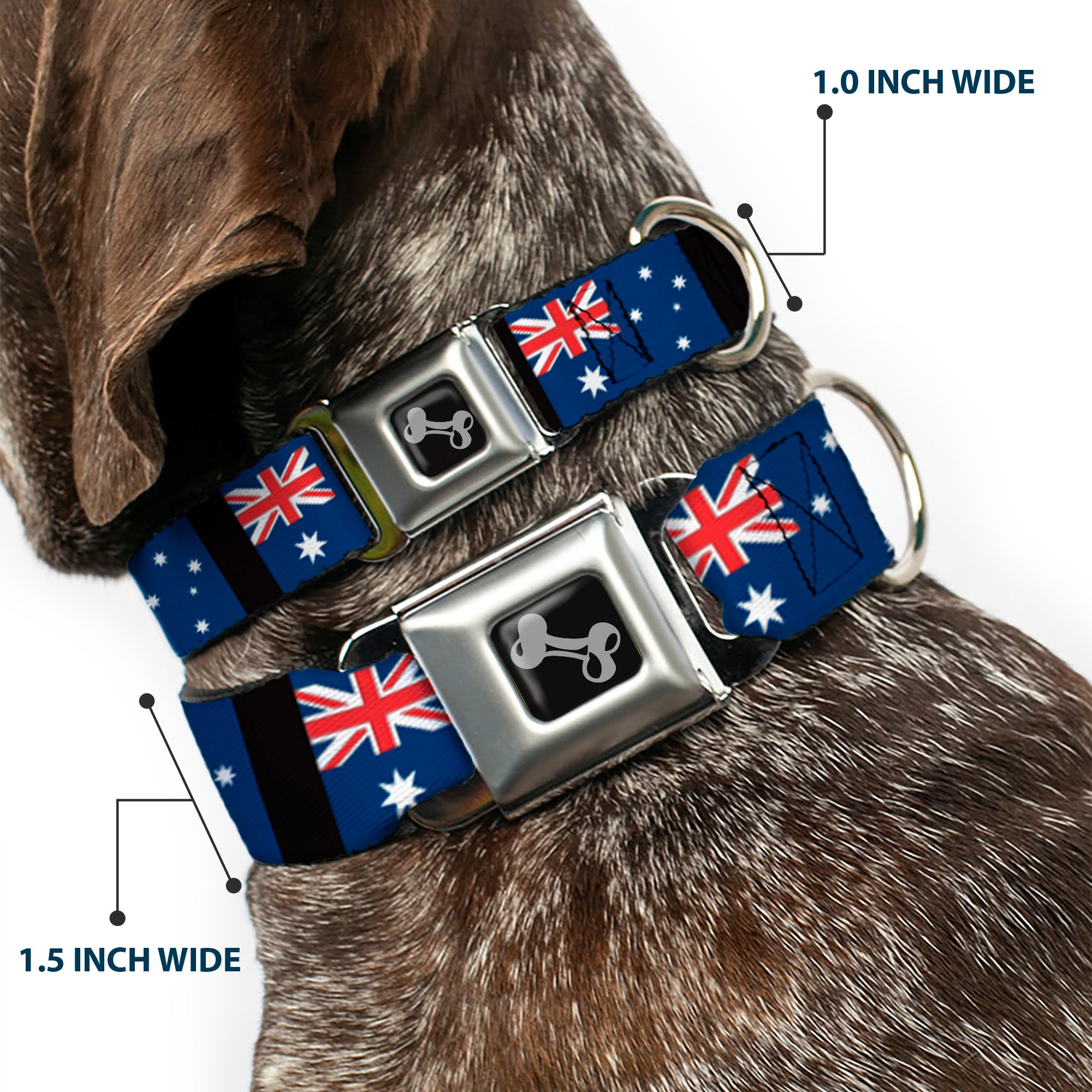 Dog Bone Seatbelt Buckle Collar - Australia Flags Seatbelt Buckle Collars Buckle-Down