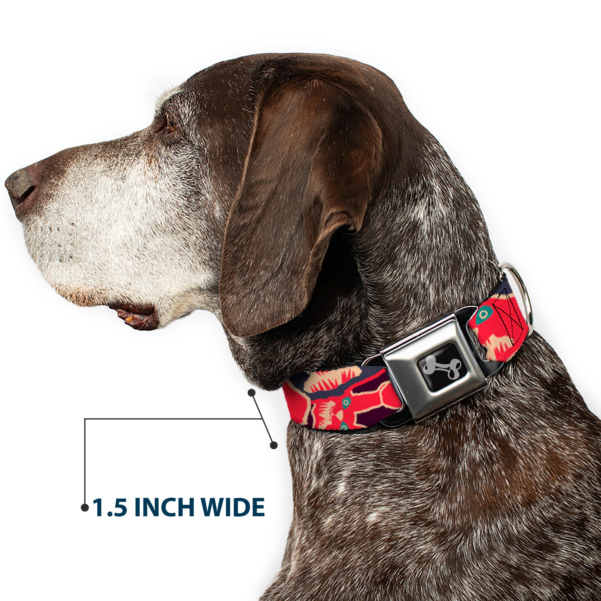 Dog Bone Seatbelt Buckle Collar - Angry Bunnies CLOSE-UP Purple/Red/Blue Seatbelt Buckle Collars Buckle-Down