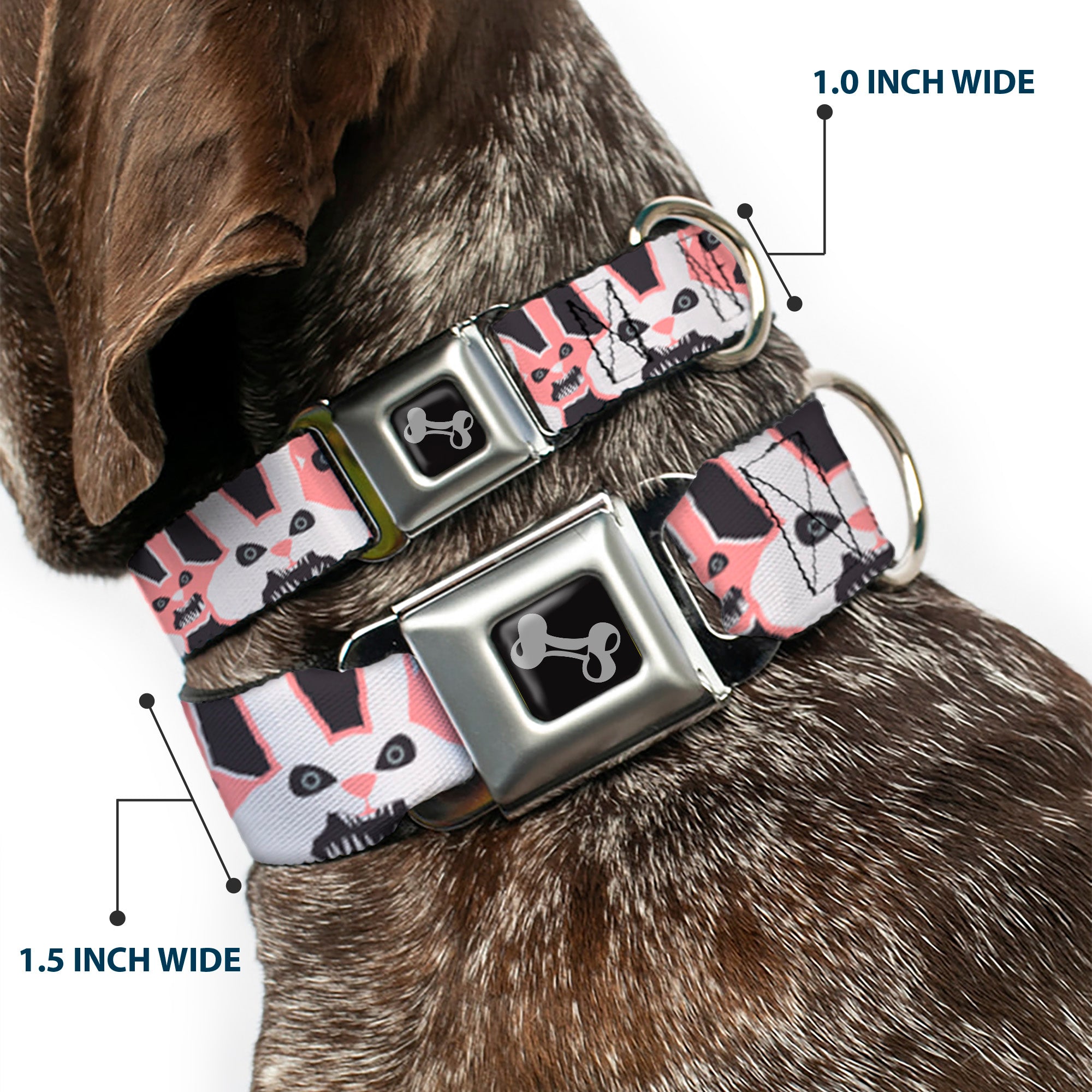 Dog Bone Seatbelt Buckle Collar - Angry Bunnies Gray/Pinks Seatbelt Buckle Collars Buckle-Down