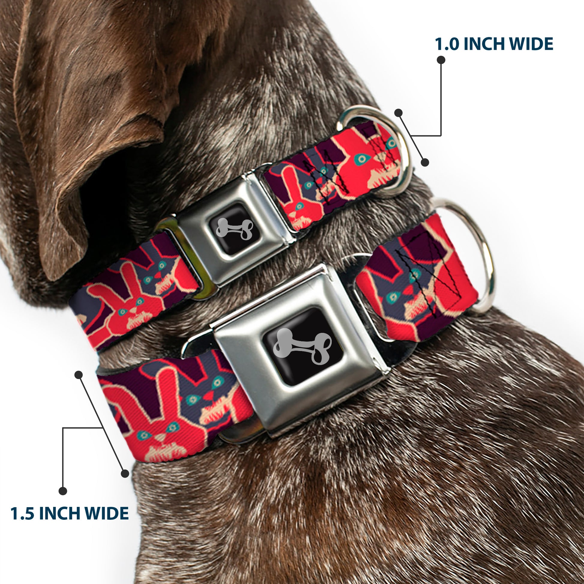 Dog Bone Seatbelt Buckle Collar - Angry Bunnies Purple/Red/Blue Seatbelt Buckle Collars Buckle-Down