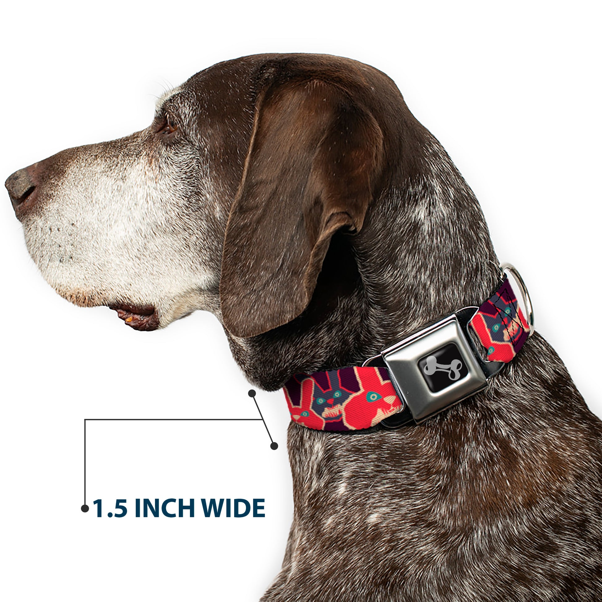 Dog Bone Seatbelt Buckle Collar - Angry Bunnies Purple/Red/Blue Seatbelt Buckle Collars Buckle-Down