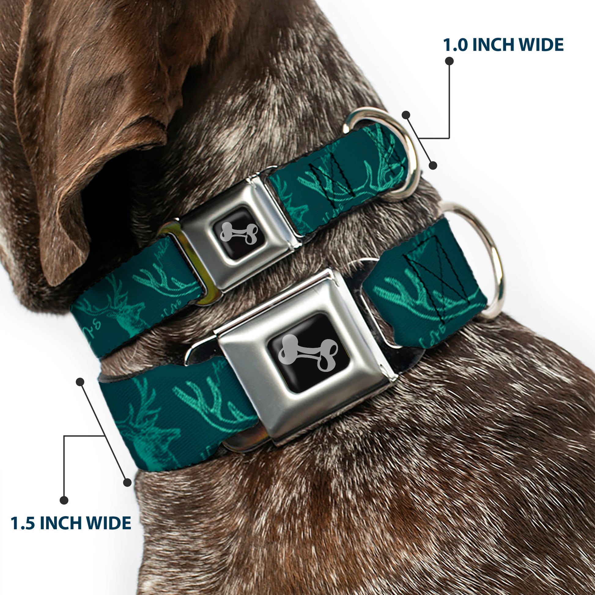 Dog Bone Seatbelt Buckle Collar - Antlers Turquoise Seatbelt Buckle Collars Buckle-Down