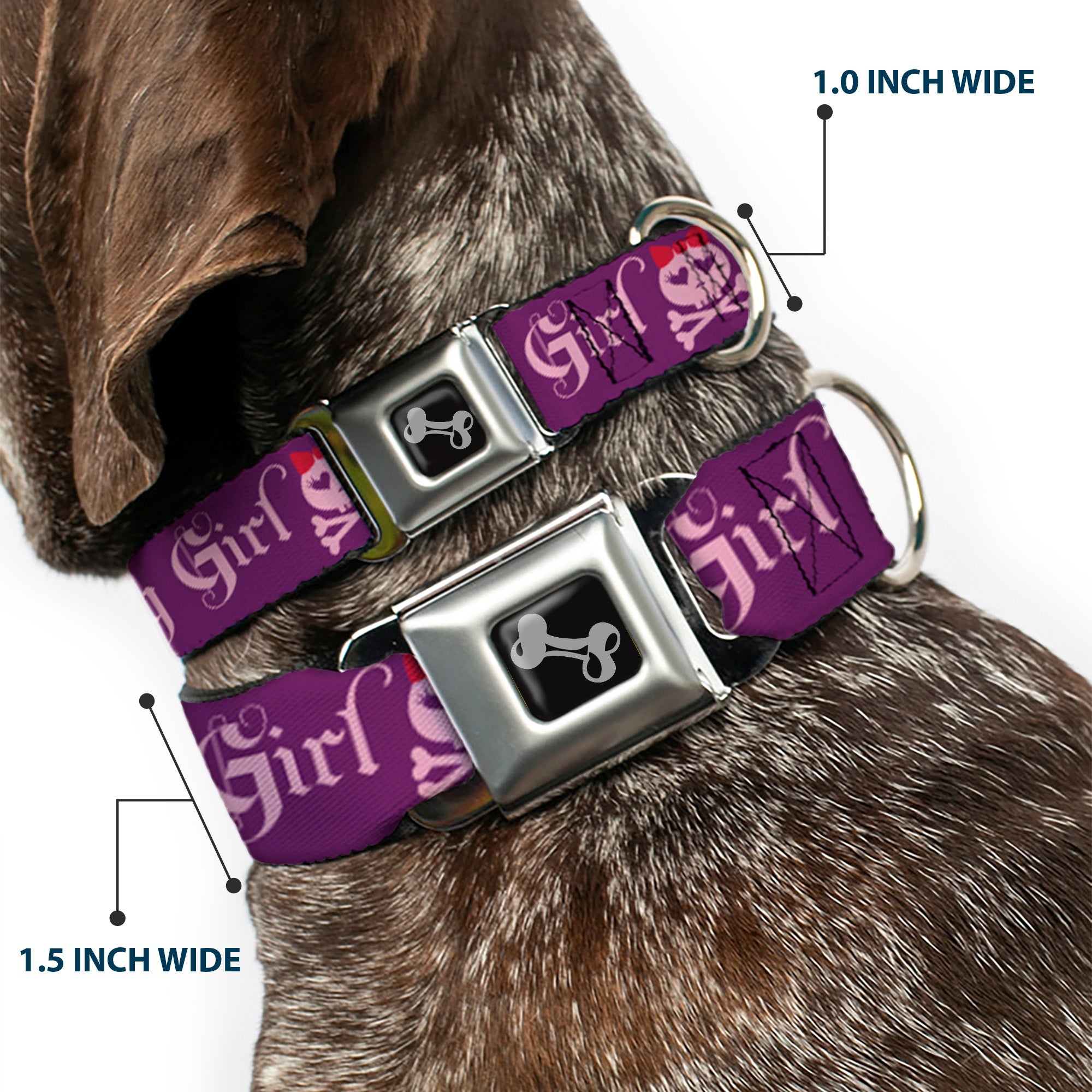 Dog Bone Seatbelt Buckle Collar - Angry Girl Purple/Pink Seatbelt Buckle Collars Buckle-Down