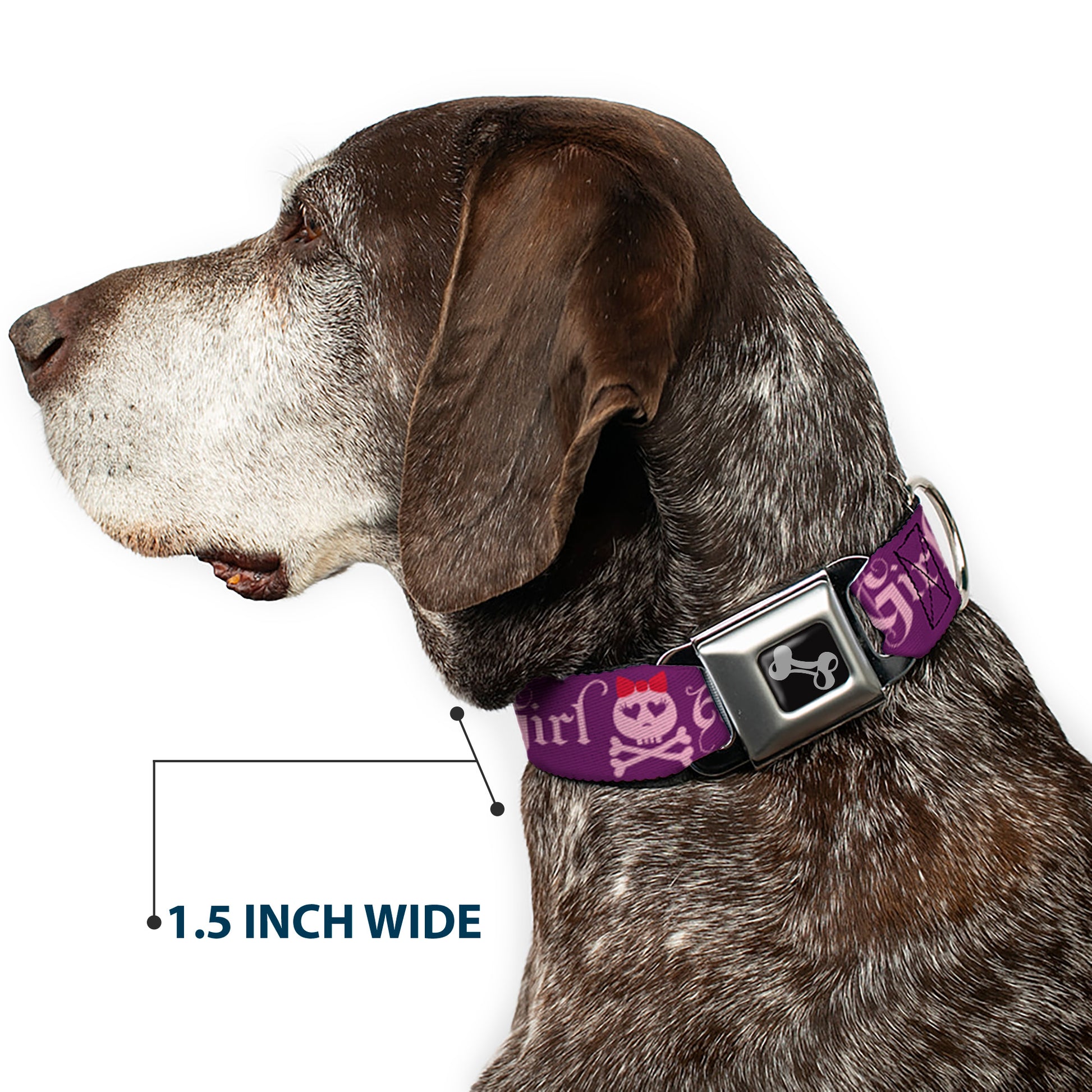 Dog Bone Seatbelt Buckle Collar - Angry Girl Purple/Pink Seatbelt Buckle Collars Buckle-Down