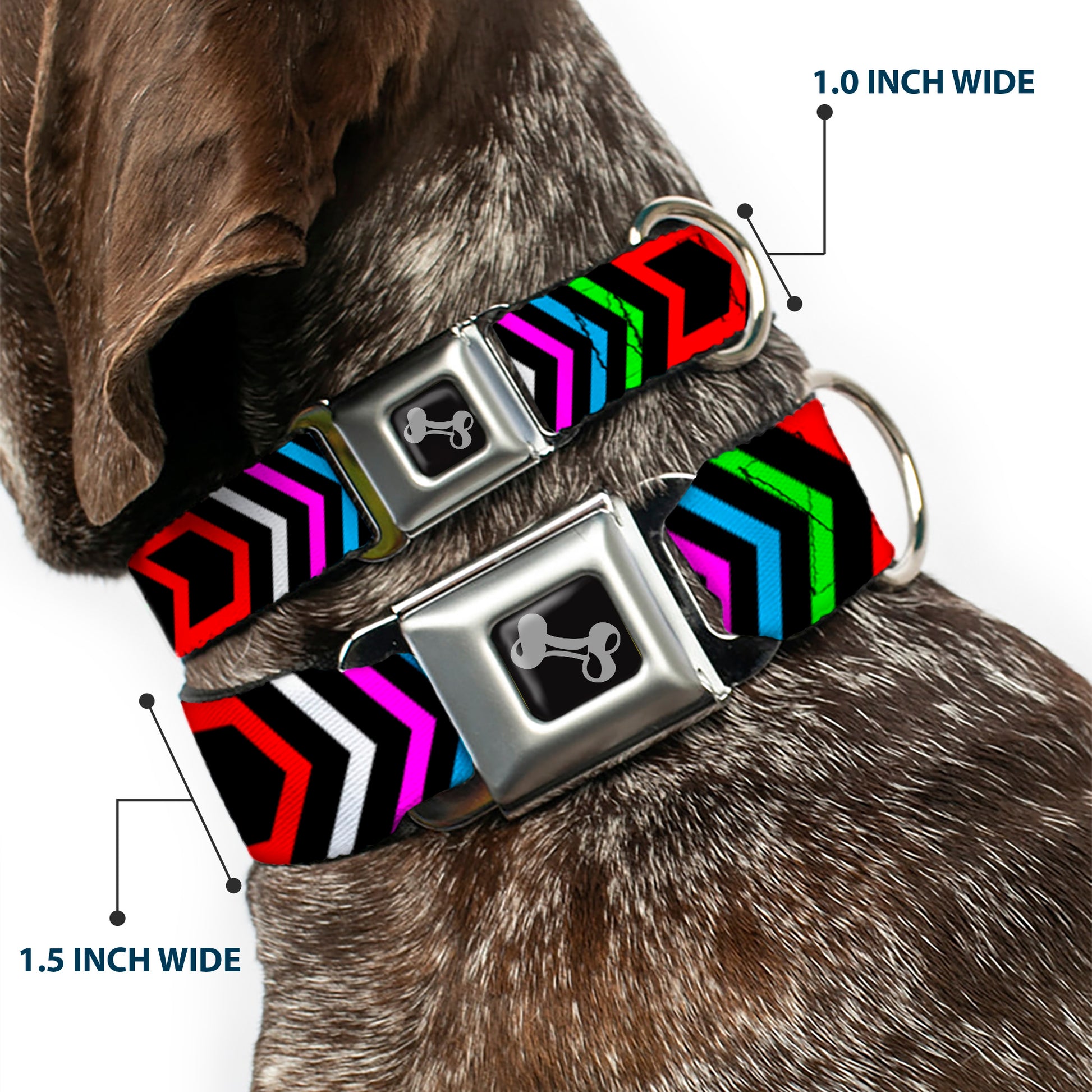 Dog Bone Seatbelt Buckle Collar - Arrows Black/Multi Color Seatbelt Buckle Collars Buckle-Down