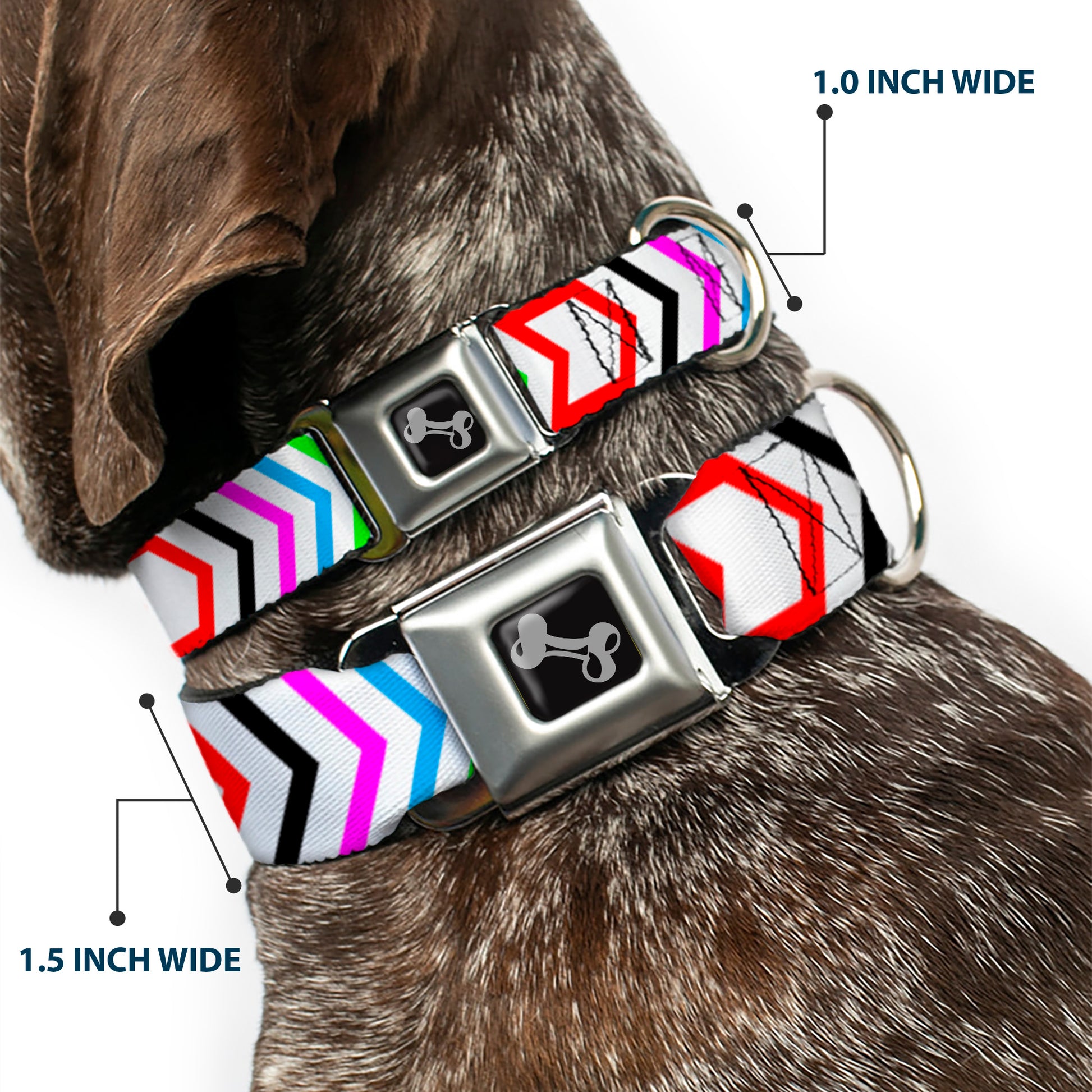 Dog Bone Seatbelt Buckle Collar - Arrows White/Multi Color Seatbelt Buckle Collars Buckle-Down