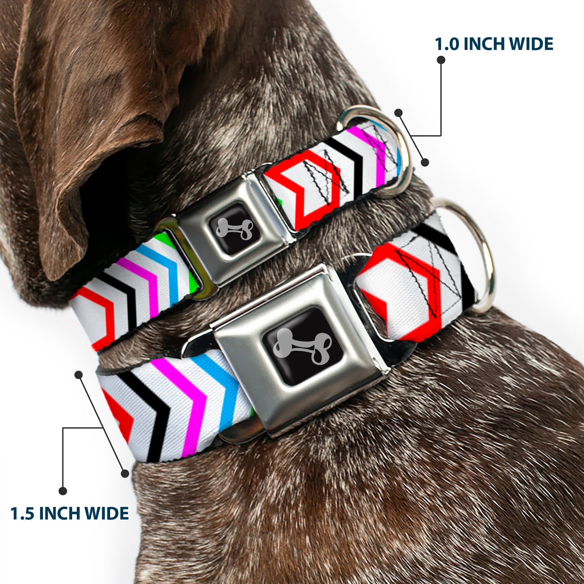 Dog Bone Seatbelt Buckle Collar - Arrows White/Multi Color Seatbelt Buckle Collars Buckle-Down