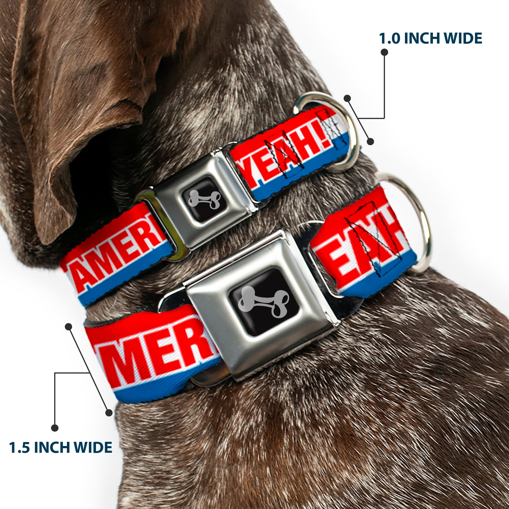 Dog Bone Seatbelt Buckle Collar - AMERICA, FUCK YEA Red/White/Blue Seatbelt Buckle Collars Buckle-Down
