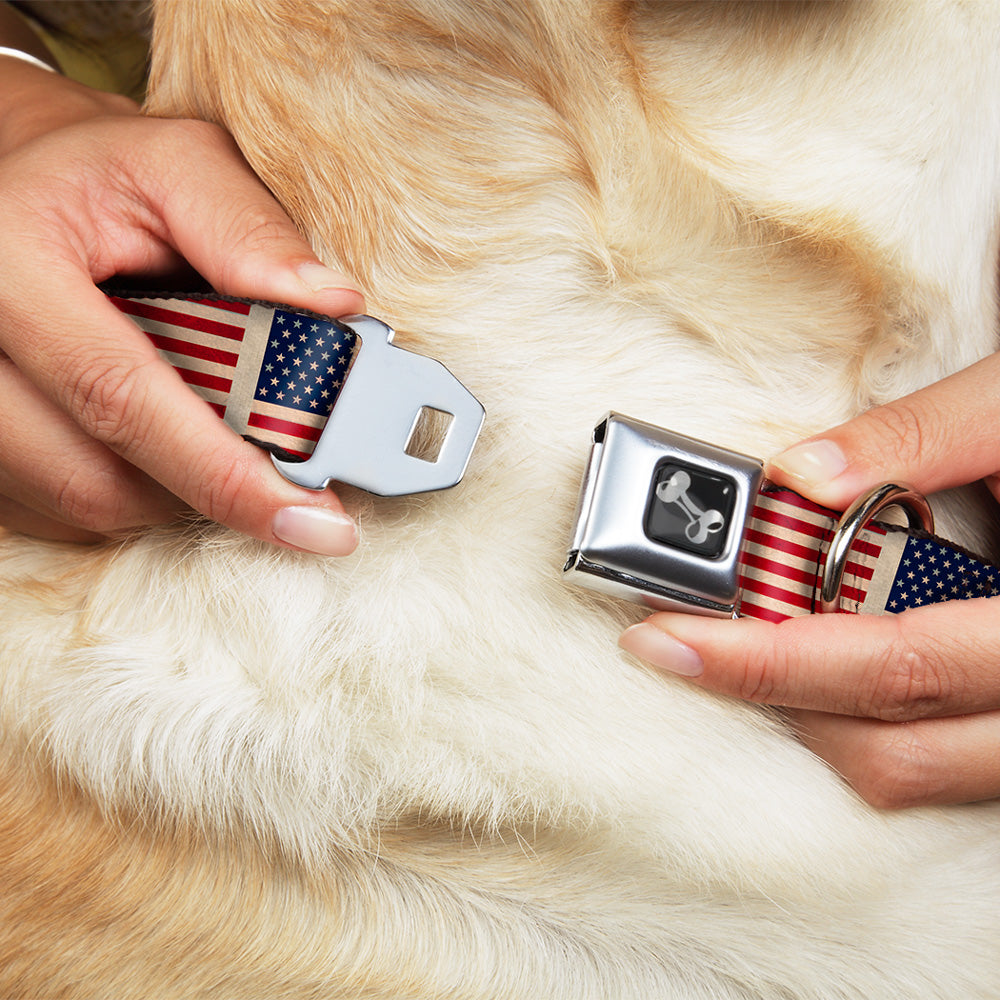 Dog Bone Seatbelt Buckle Collar - American Flag Weathered Color Repeat Seatbelt Buckle Collars Buckle-Down
