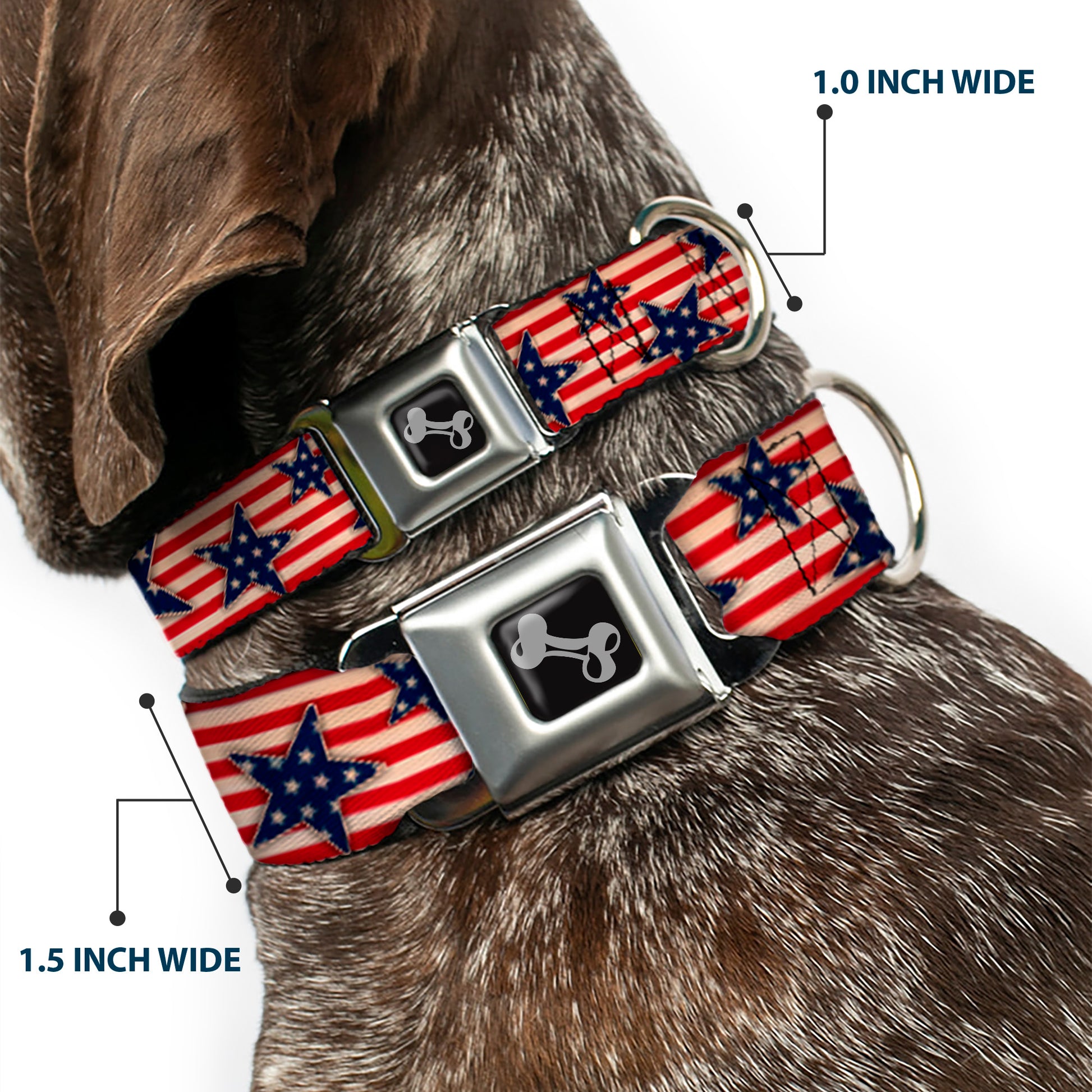 Dog Bone Seatbelt Buckle Collar - Americana Stars & Stripes Red/White/Blue/White Seatbelt Buckle Collars Buckle-Down