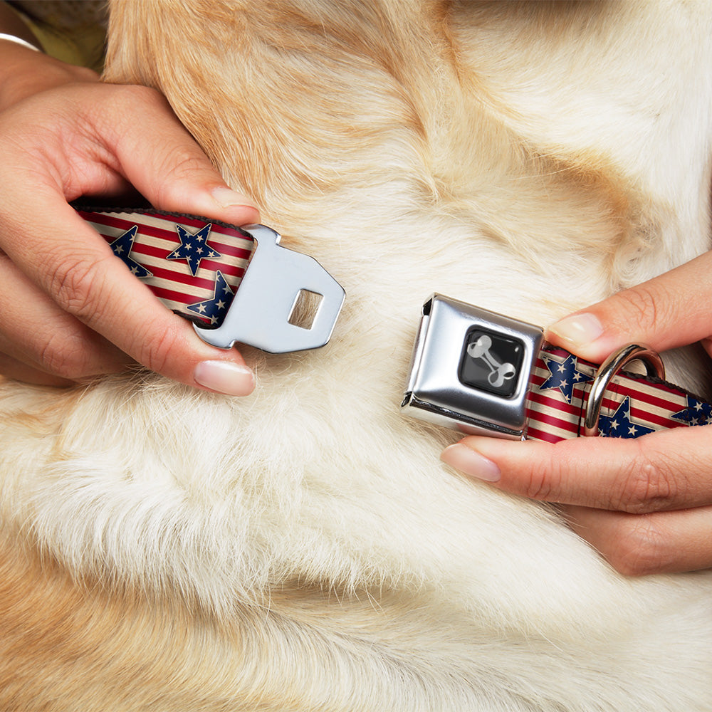Dog Bone Seatbelt Buckle Collar - Americana Stars & Stripes Red/White/Blue/White Seatbelt Buckle Collars Buckle-Down