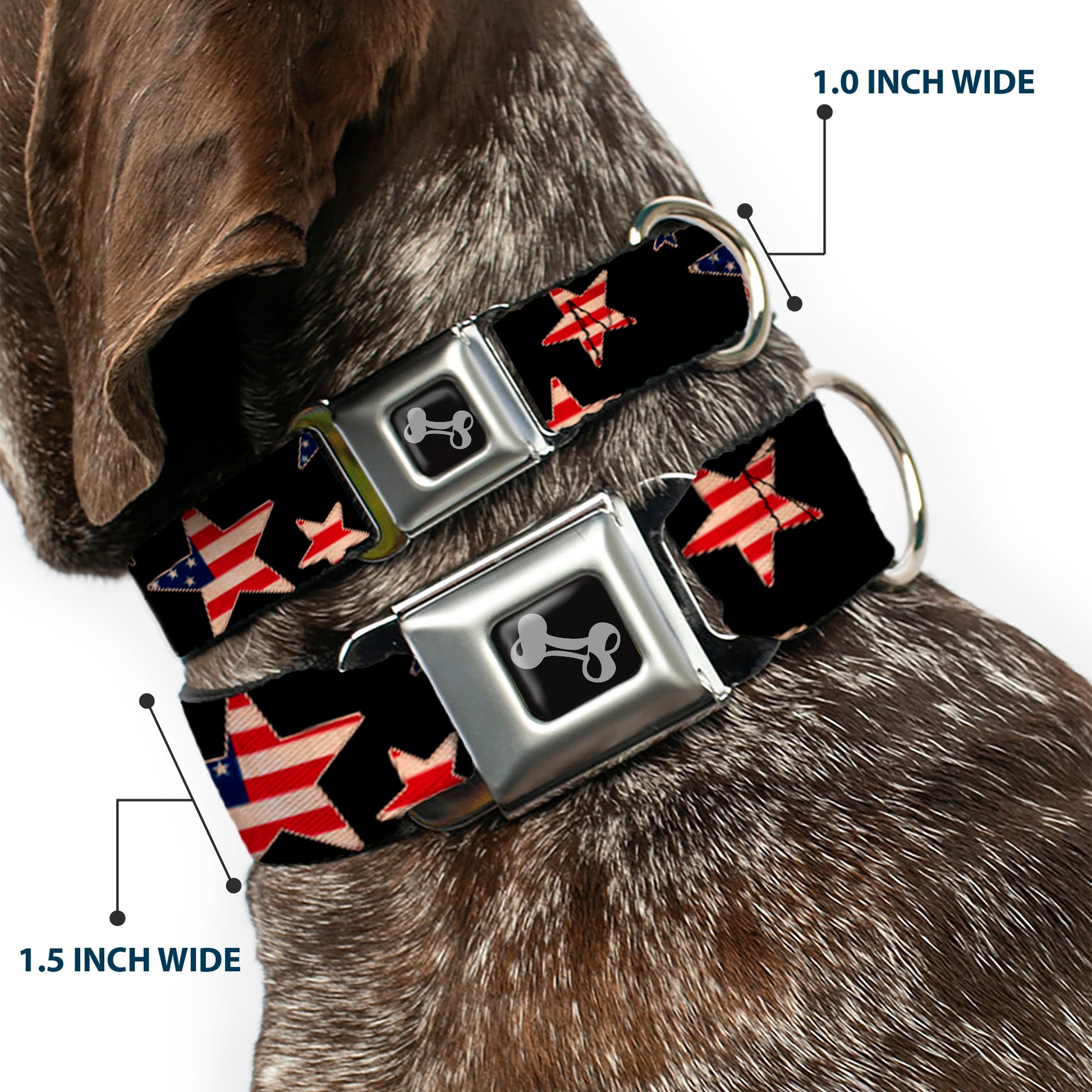 Dog Bone Seatbelt Buckle Collar - Americana Stars & Flags Black/Red/White/Blue Seatbelt Buckle Collars Buckle-Down