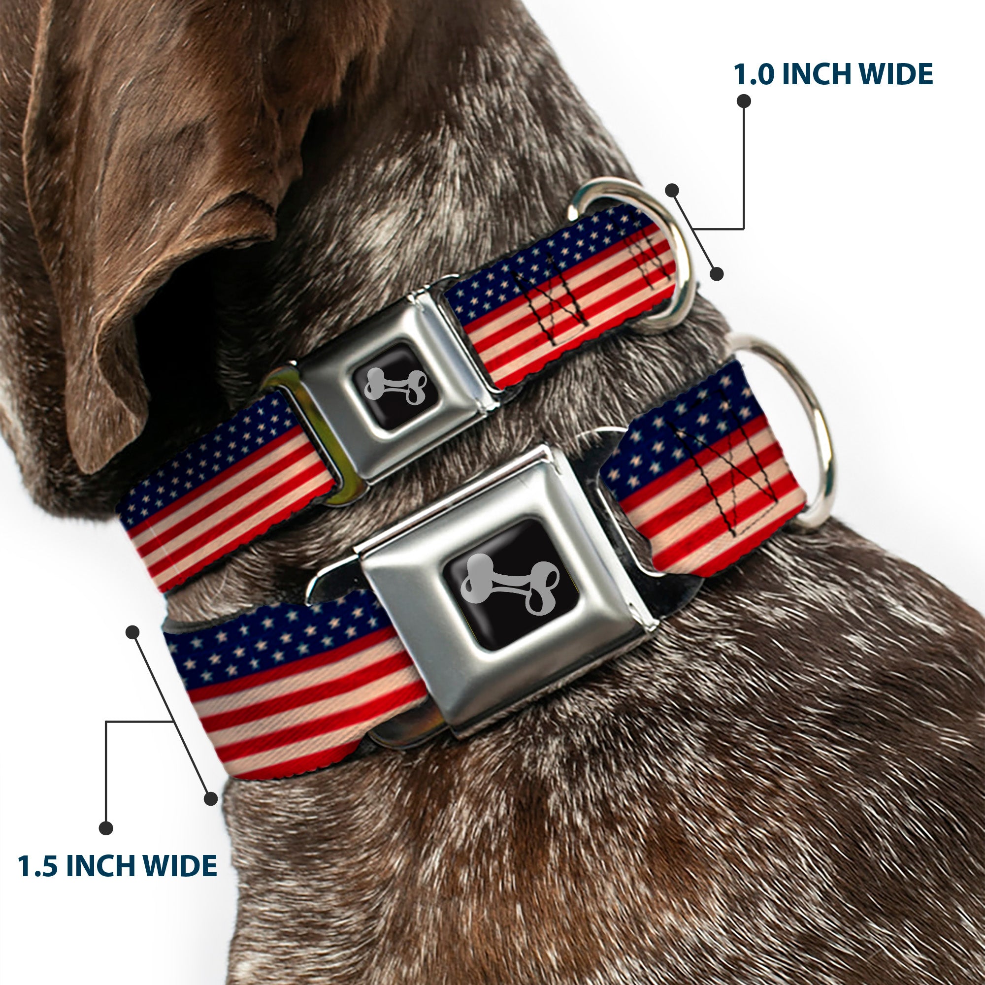 Dog Bone Seatbelt Buckle Collar - American Flag Stripe Seatbelt Buckle Collars Buckle-Down