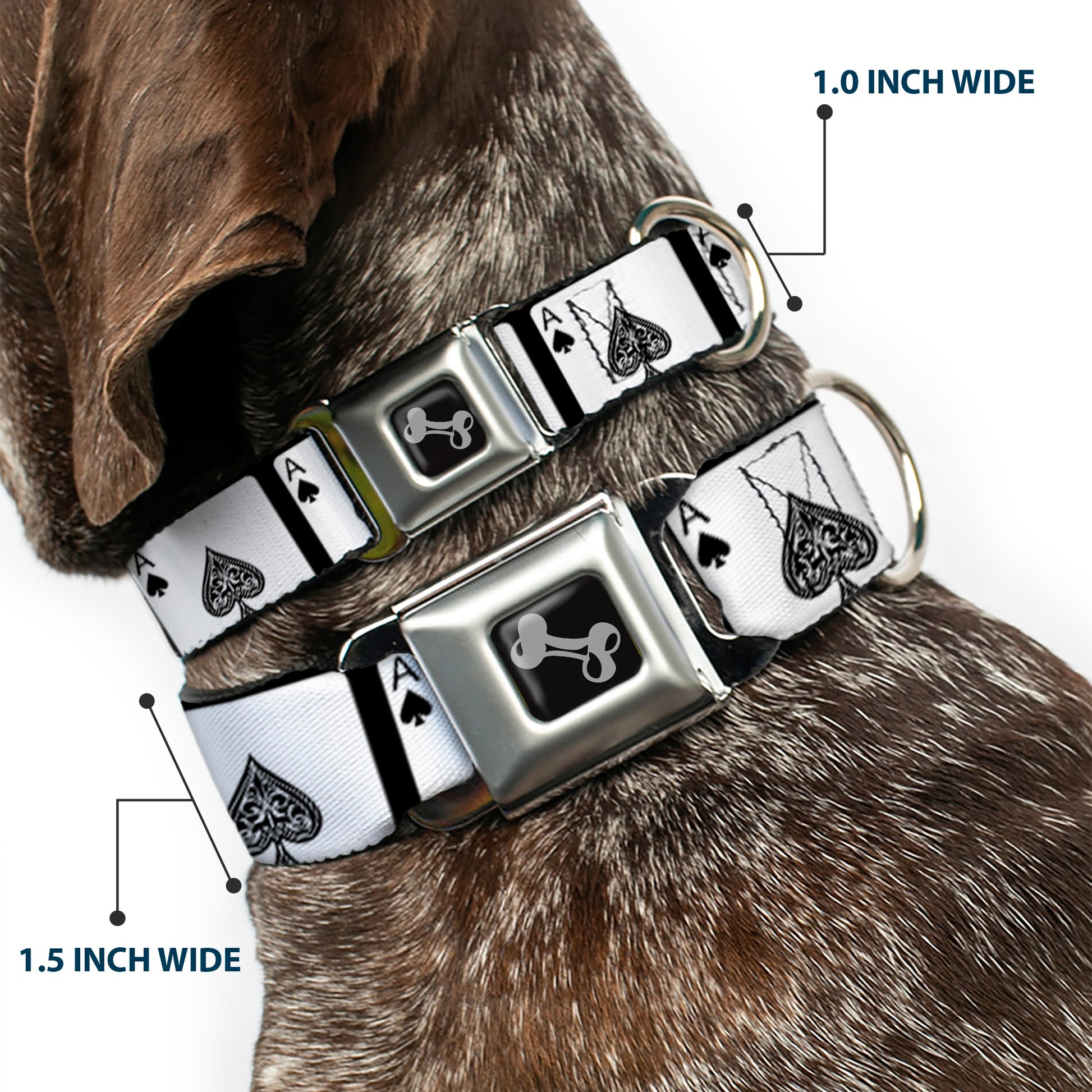 Dog Bone Seatbelt Buckle Collar - Ace of Spades Seatbelt Buckle Collars Buckle-Down