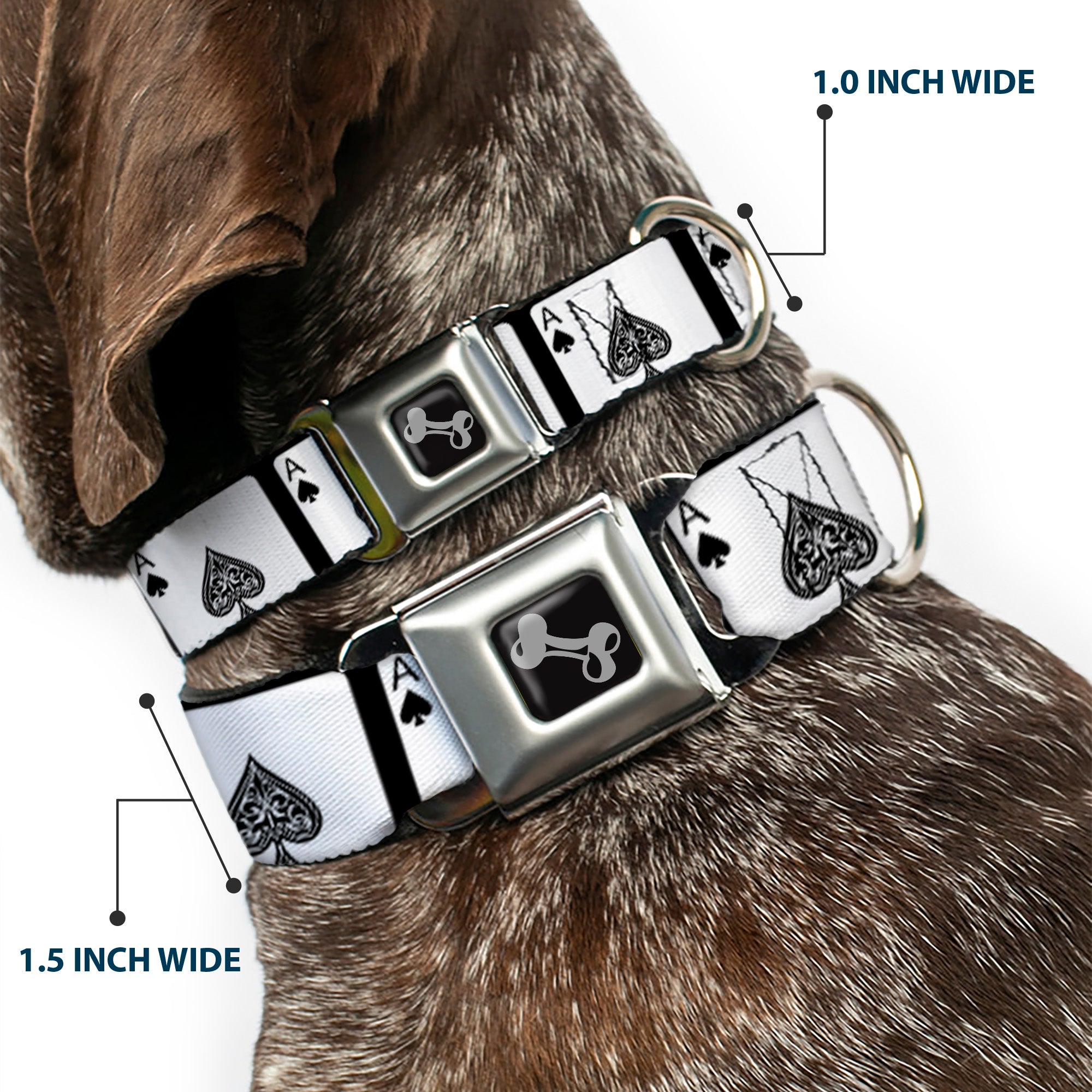 Dog Bone Seatbelt Buckle Collar - Ace of Spades Seatbelt Buckle Collars Buckle-Down