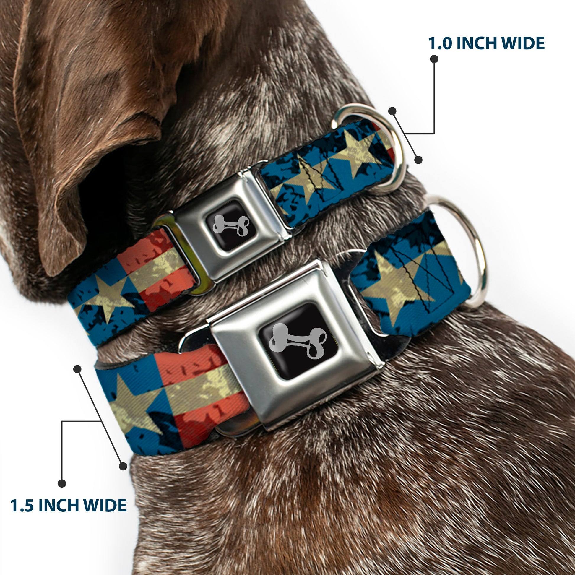 Dog Bone Seatbelt Buckle Collar - Americana Vintage Stars & Stripes Seatbelt Buckle Collars Buckle-Down