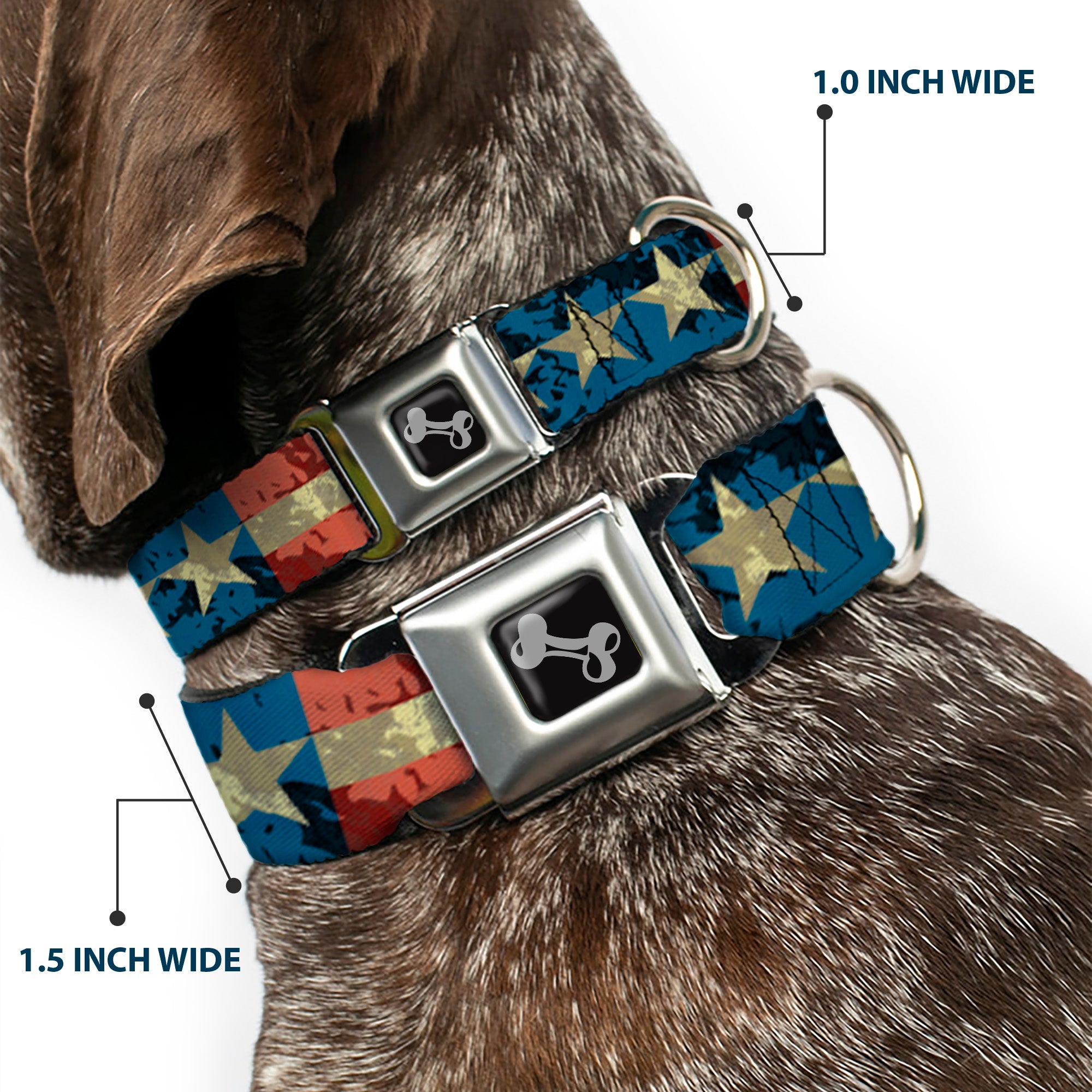 Dog Bone Seatbelt Buckle Collar - Americana Vintage Stars & Stripes Seatbelt Buckle Collars Buckle-Down