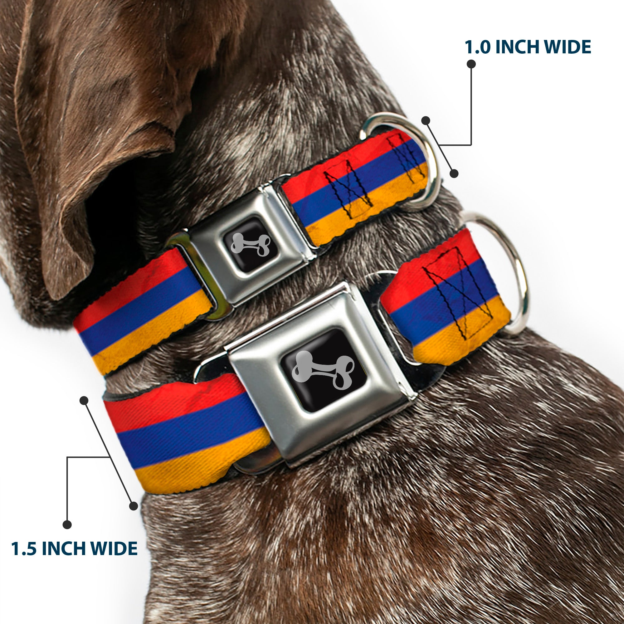 Dog Bone Seatbelt Buckle Collar - Armenia Flag Distressed Seatbelt Buckle Collars Buckle-Down