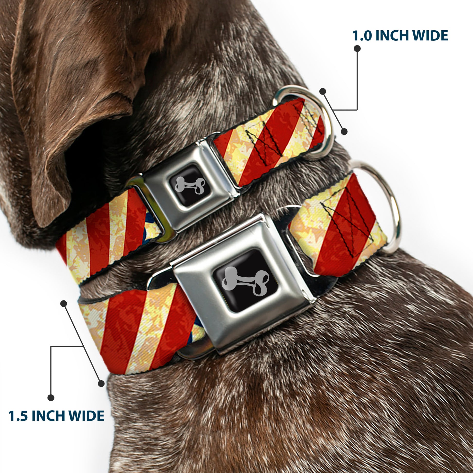 Dog Bone Seatbelt Buckle Collar - Americana Diagonal Vintage Stars & Stripes2 Seatbelt Buckle Collars Buckle-Down