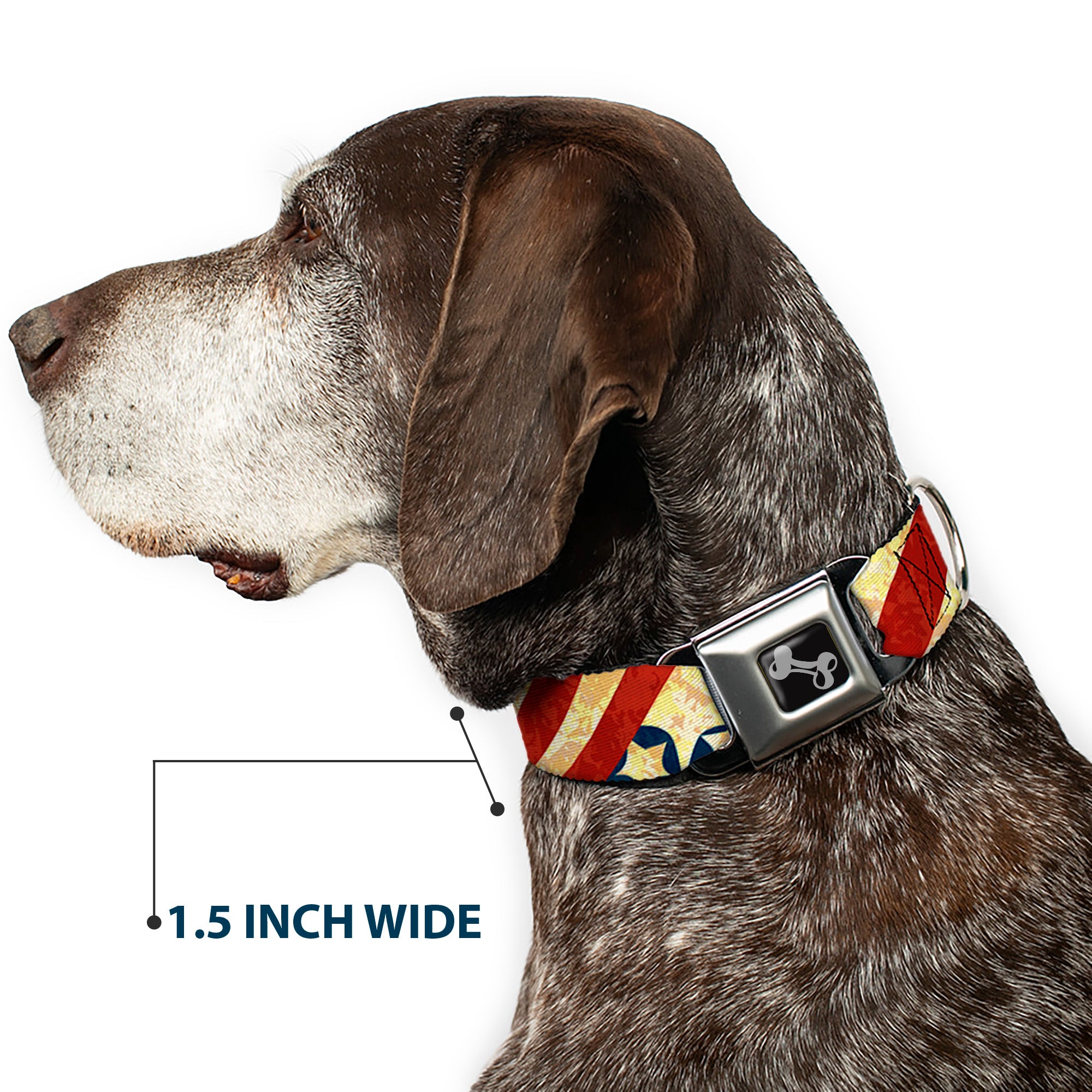 Dog Bone Seatbelt Buckle Collar - Americana Diagonal Vintage Stars & Stripes2 Seatbelt Buckle Collars Buckle-Down