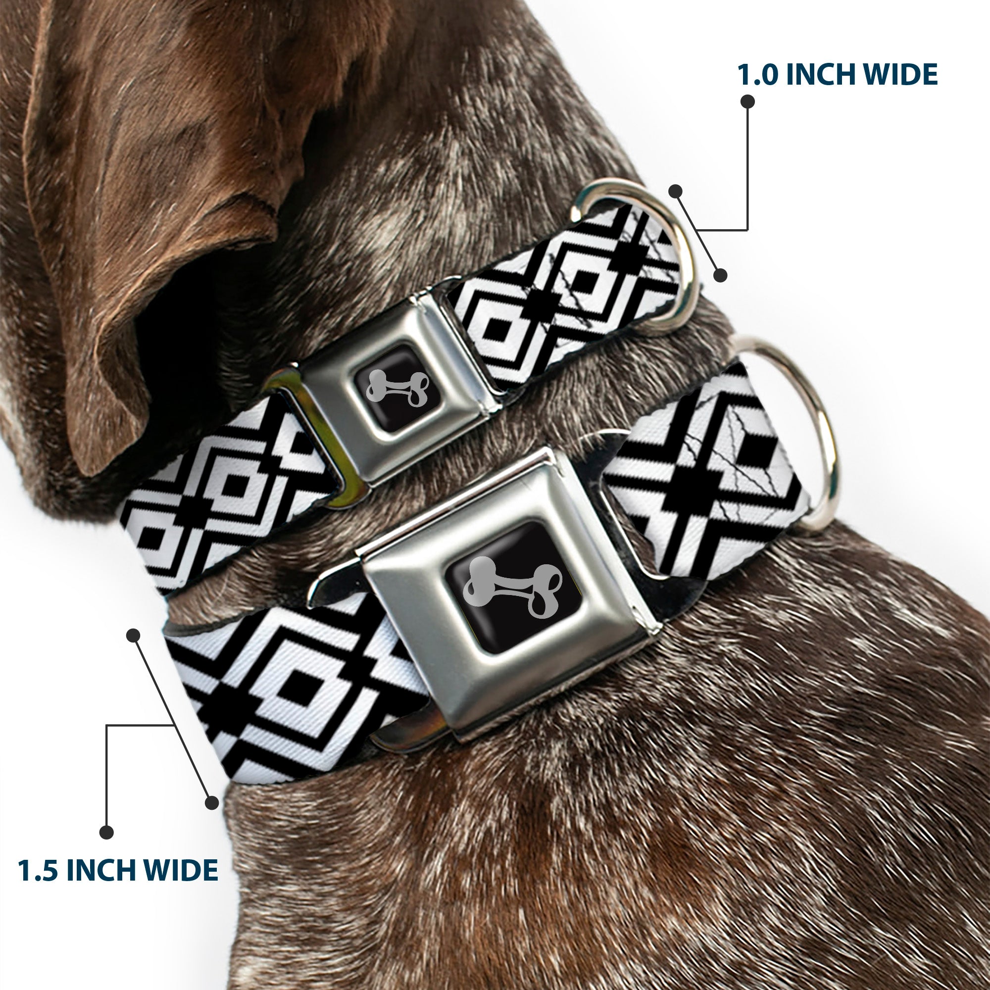 Dog Bone Seatbelt Buckle Collar - Aztec2 White/Black Seatbelt Buckle Collars Buckle-Down