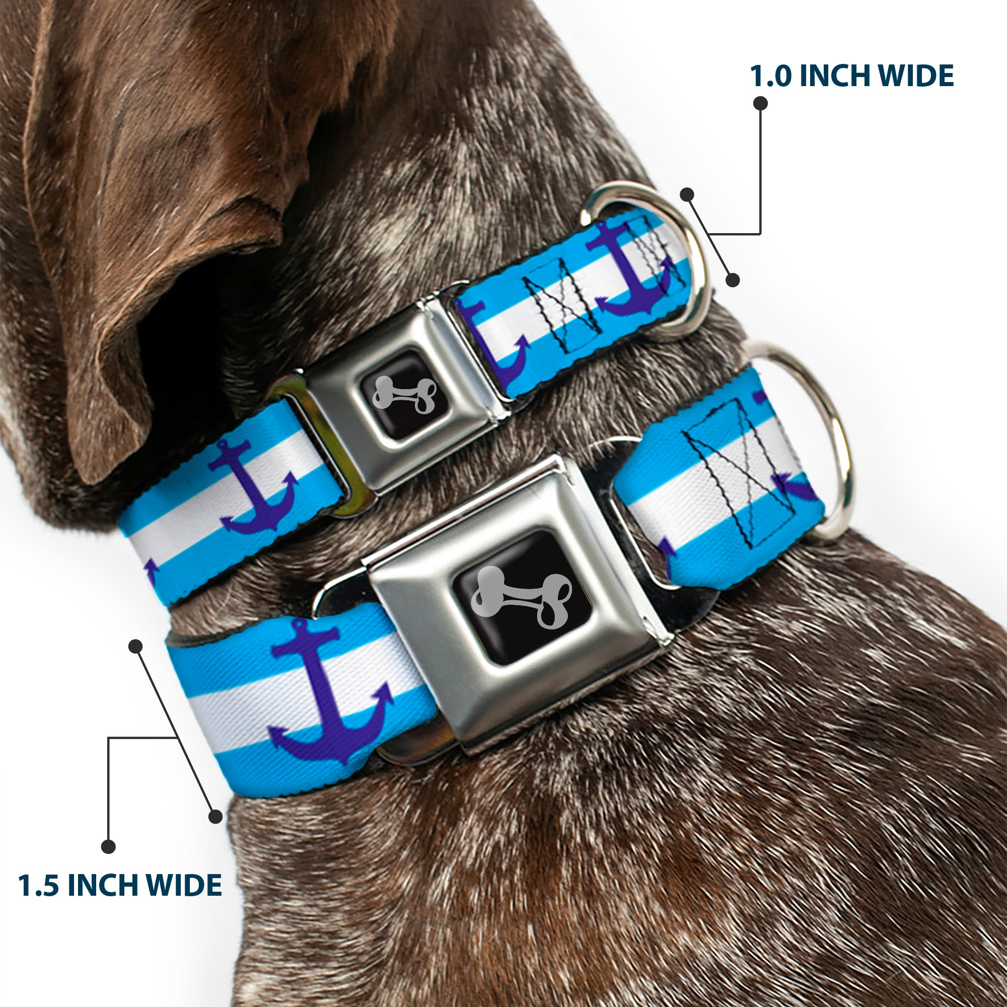 Dog Bone Seatbelt Buckle Collar - Anchor/Stripe Blues/White Seatbelt Buckle Collars Buckle-Down
