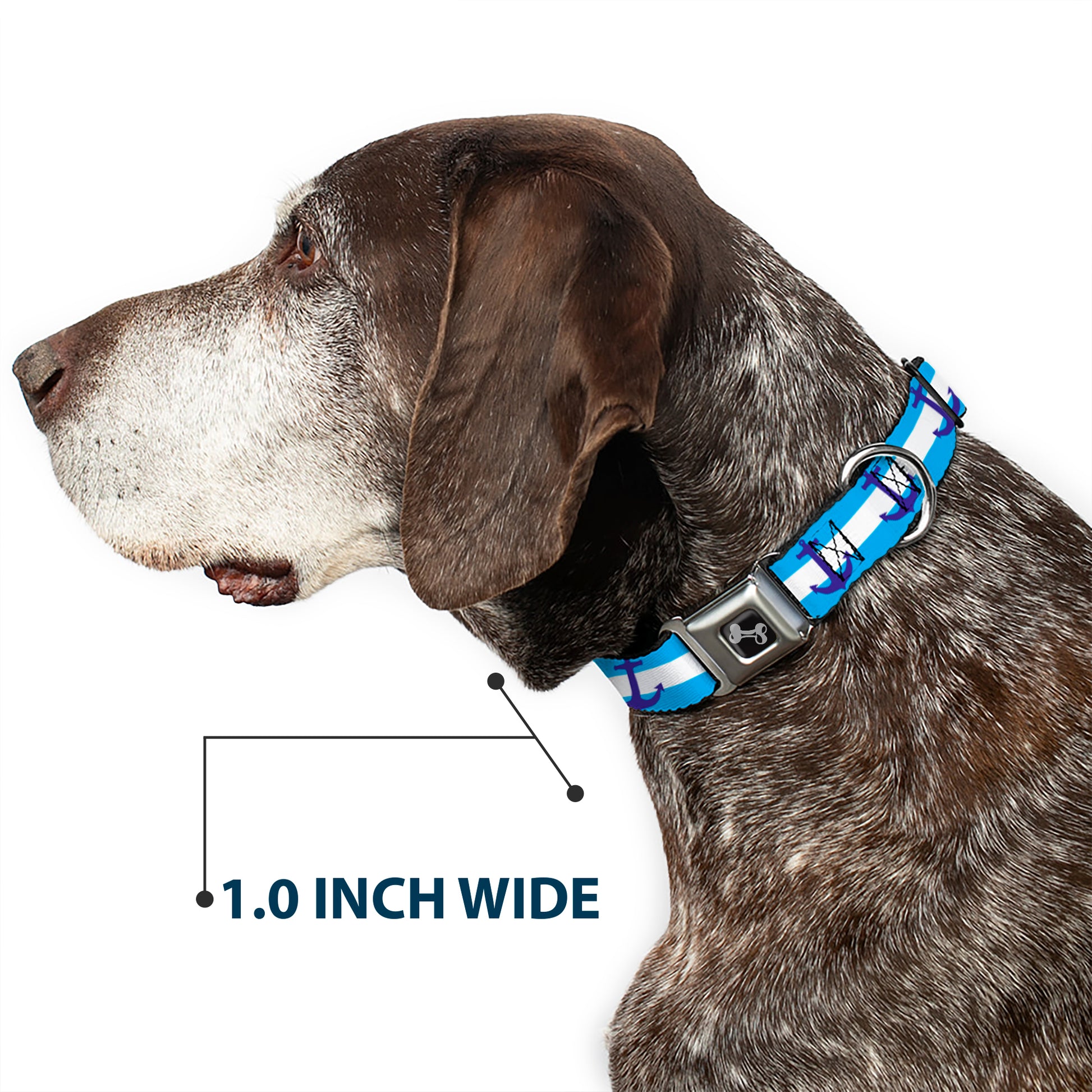 Dog Bone Seatbelt Buckle Collar - Anchor/Stripe Blues/White Seatbelt Buckle Collars Buckle-Down