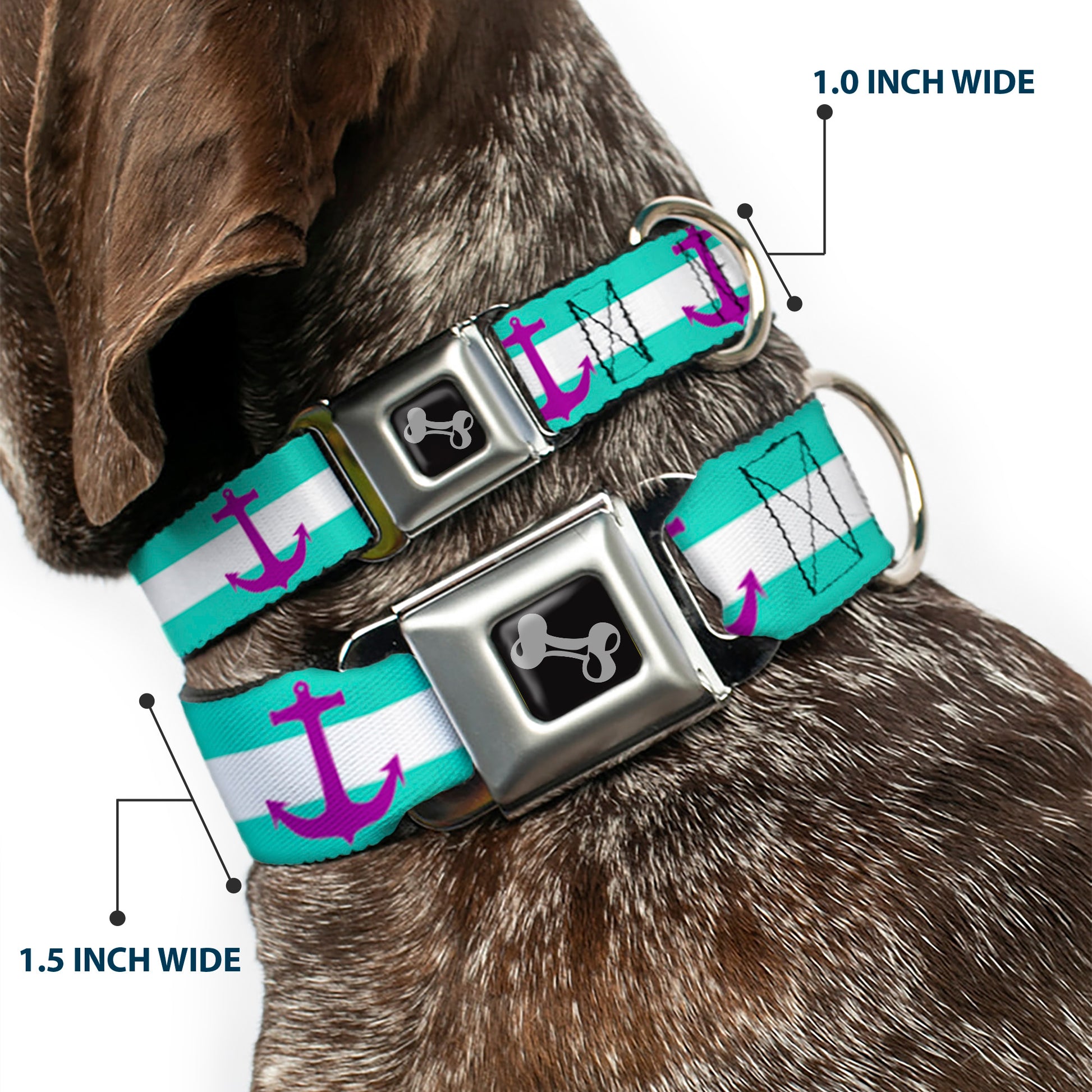 Dog Bone Seatbelt Buckle Collar - Anchor/Stripe Teal/White/Purple Seatbelt Buckle Collars Buckle-Down