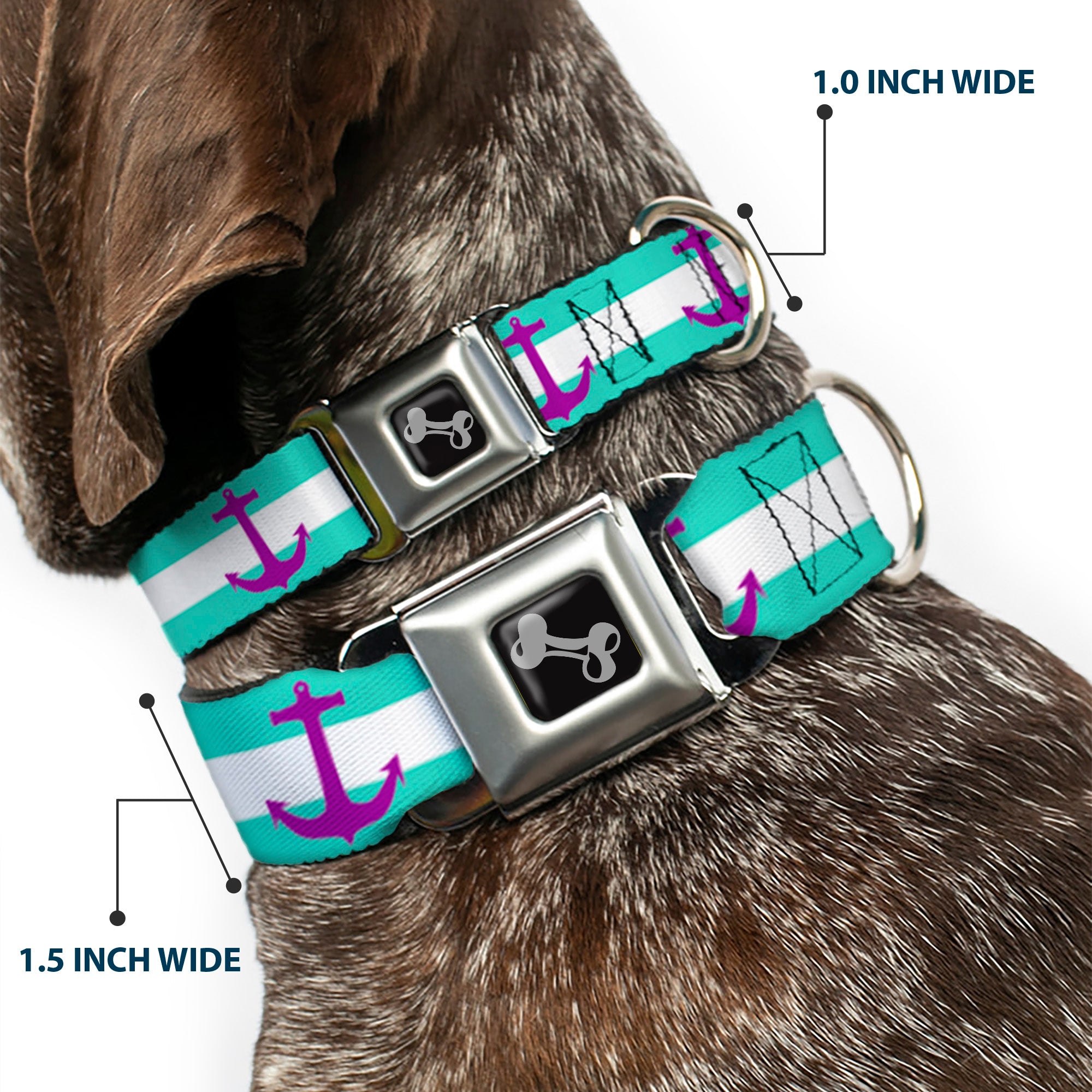 Dog Bone Seatbelt Buckle Collar - Anchor/Stripe Teal/White/Purple Seatbelt Buckle Collars Buckle-Down