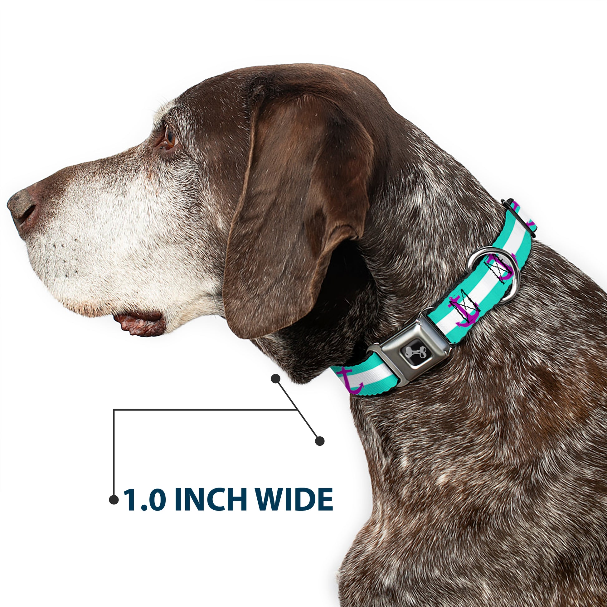 Dog Bone Seatbelt Buckle Collar - Anchor/Stripe Teal/White/Purple Seatbelt Buckle Collars Buckle-Down