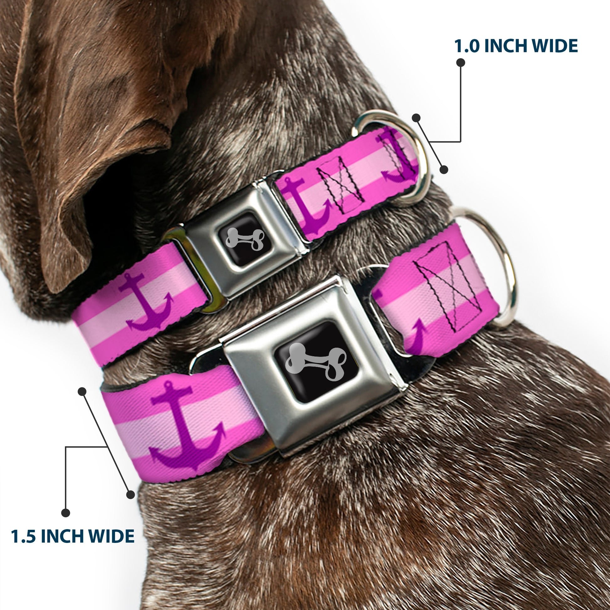 Dog Bone Seatbelt Buckle Collar - Anchor/Stripe Pinks/Purple Seatbelt Buckle Collars Buckle-Down