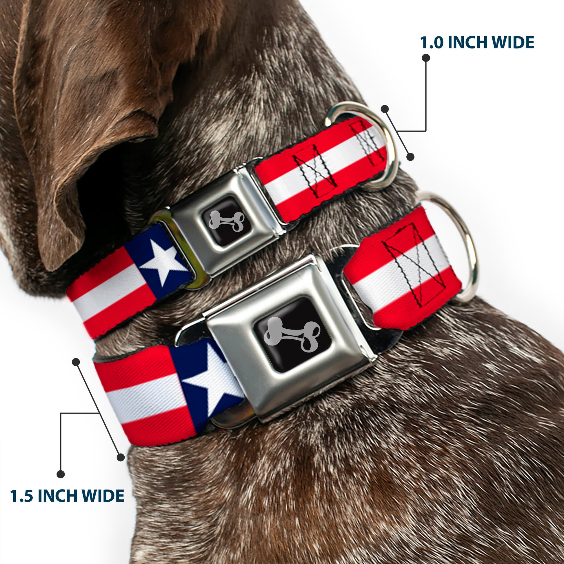 Dog Bone Seatbelt Buckle Collar - Americana Stars & Stripes Seatbelt Buckle Collars Buckle-Down