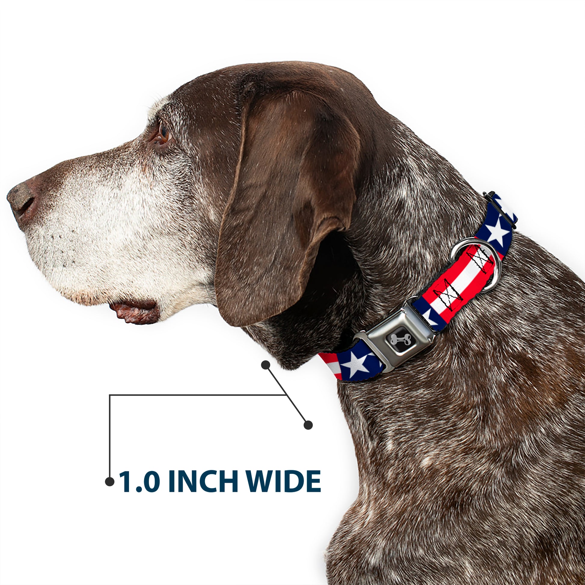 Dog Bone Seatbelt Buckle Collar - Americana Stars & Stripes Seatbelt Buckle Collars Buckle-Down
