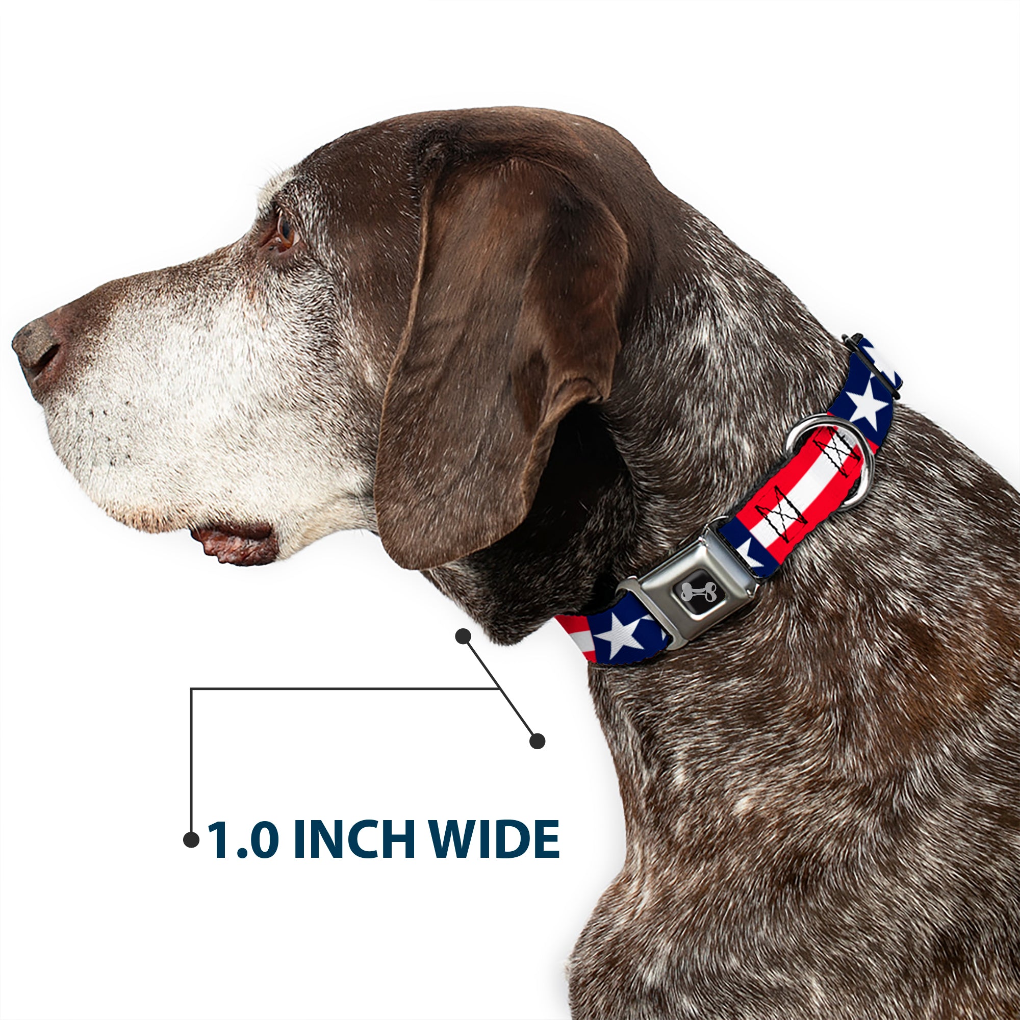 Dog Bone Seatbelt Buckle Collar - Americana Stars & Stripes Seatbelt Buckle Collars Buckle-Down