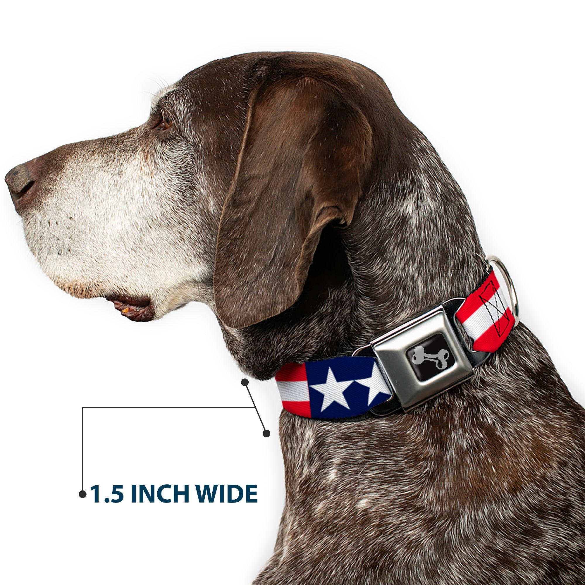 Dog Bone Seatbelt Buckle Collar - Americana Stars & Stripes Seatbelt Buckle Collars Buckle-Down