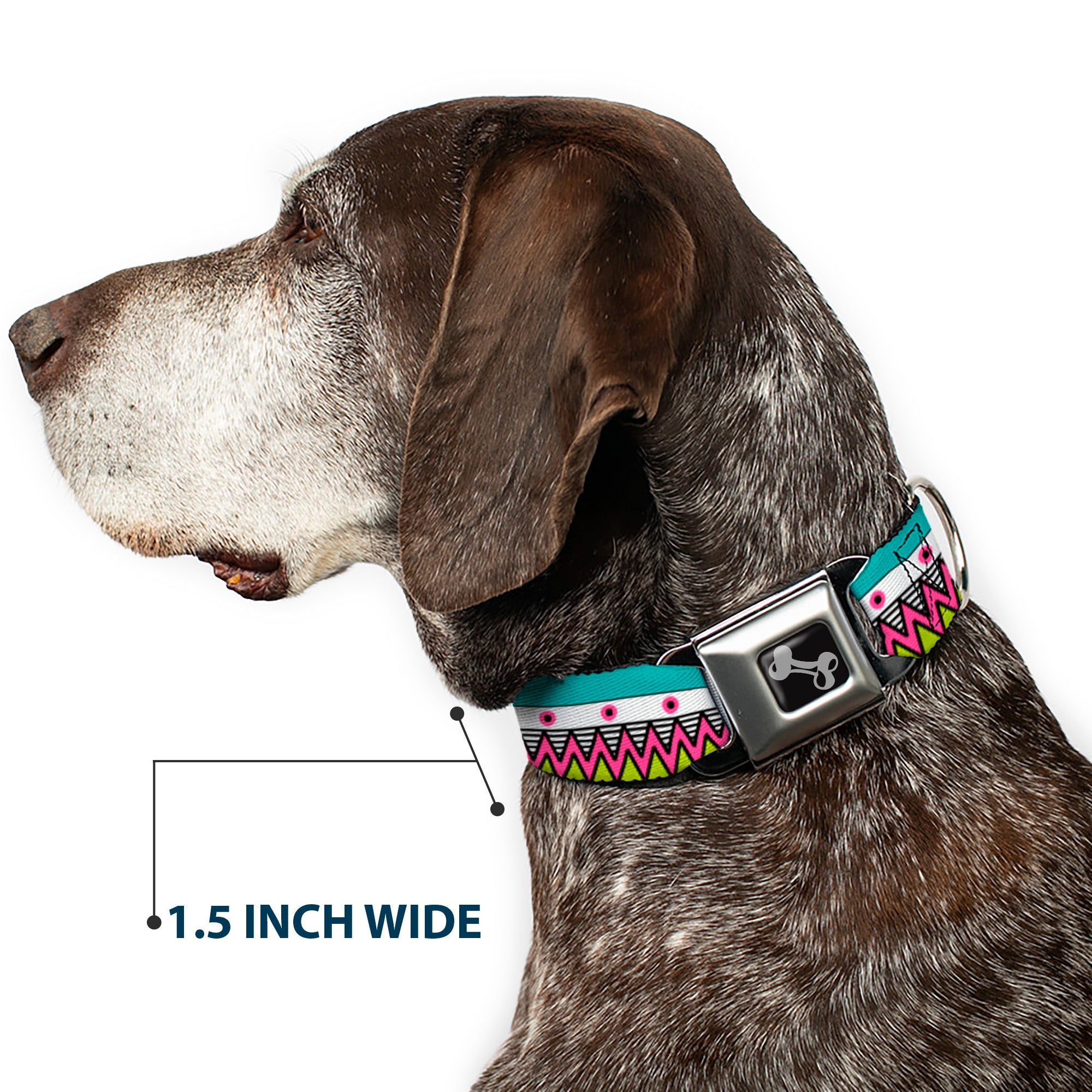 Dog Bone Seatbelt Buckle Collar - Aztec 14 Seafoam Green/White/Pink/Lime Green/Black Seatbelt Buckle Collars Buckle-Down