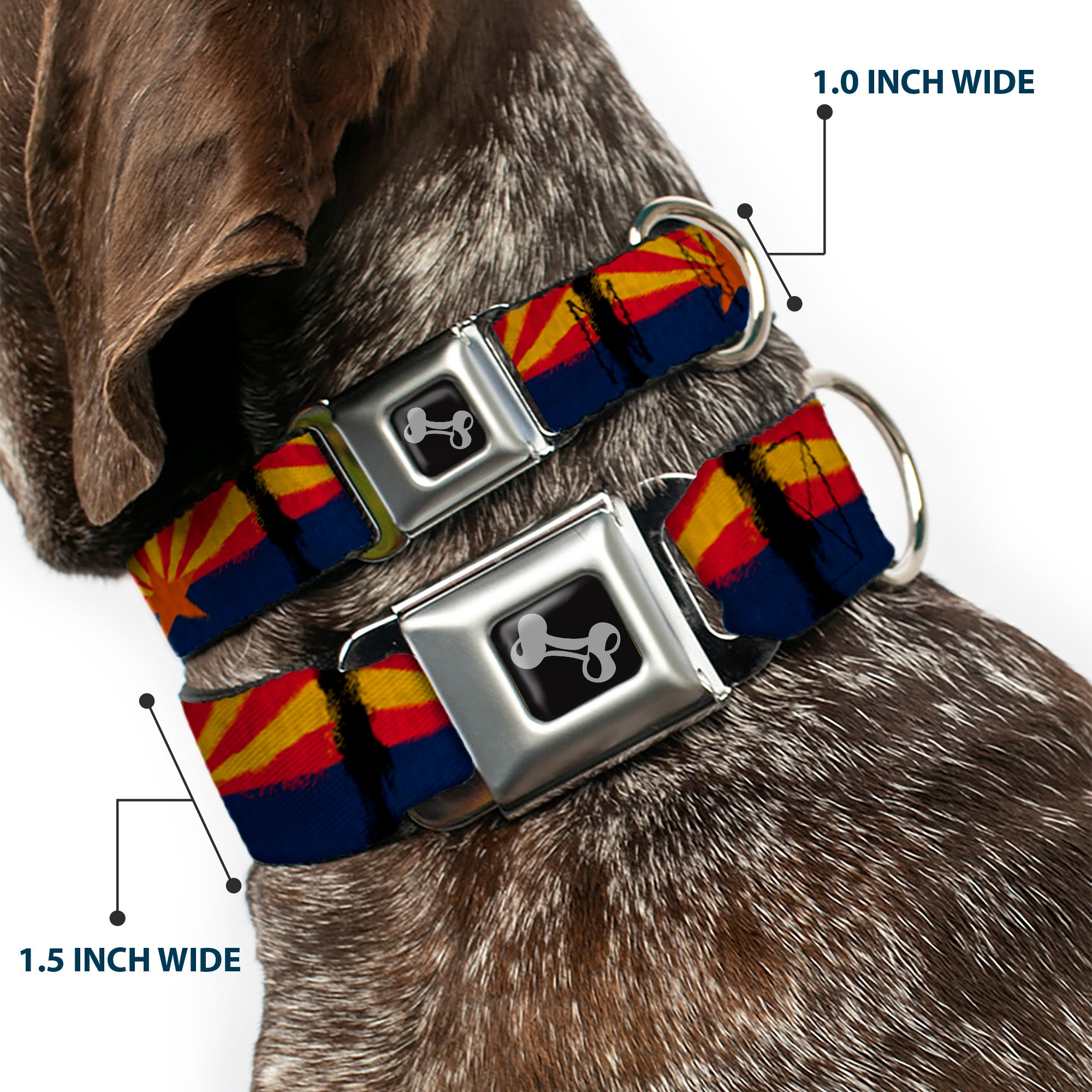 Dog Bone Seatbelt Buckle Collar - Arizona Flag Distressed Painting Seatbelt Buckle Collars Buckle-Down